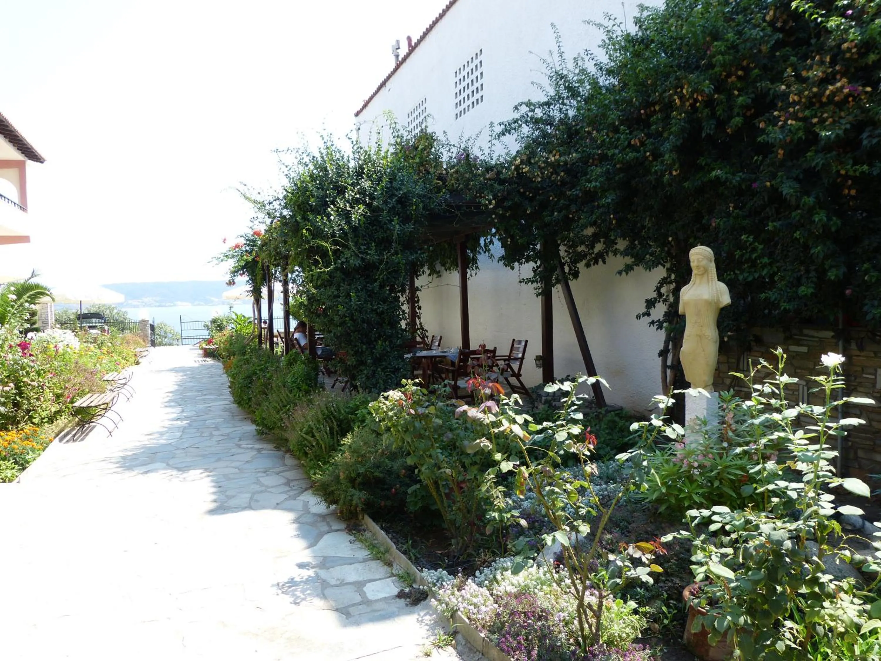 Garden in Sun Rise Hotel