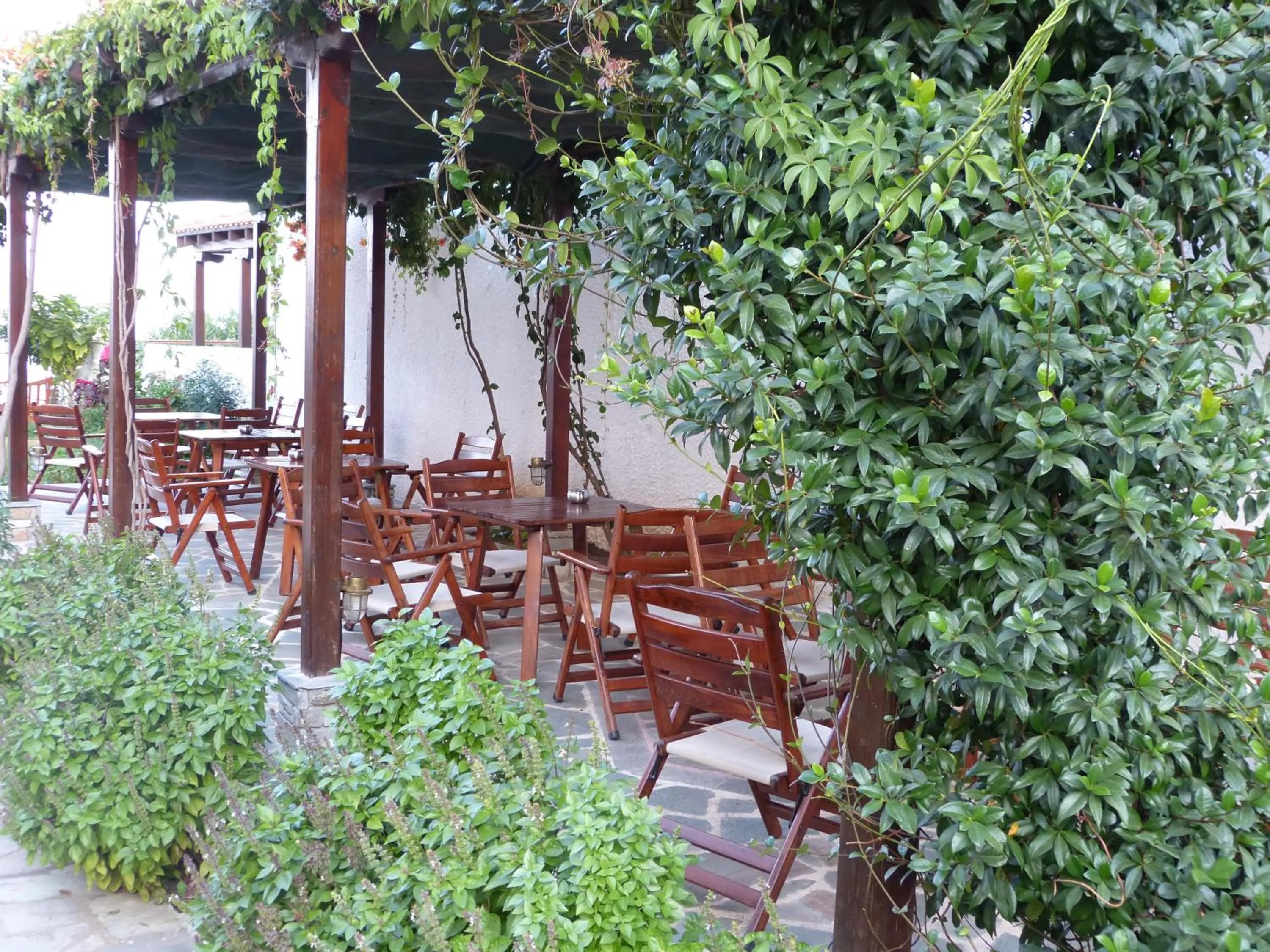 Balcony/Terrace in Sun Rise Hotel