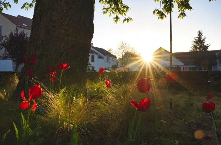 Property building in Les Chevaliers des Balances