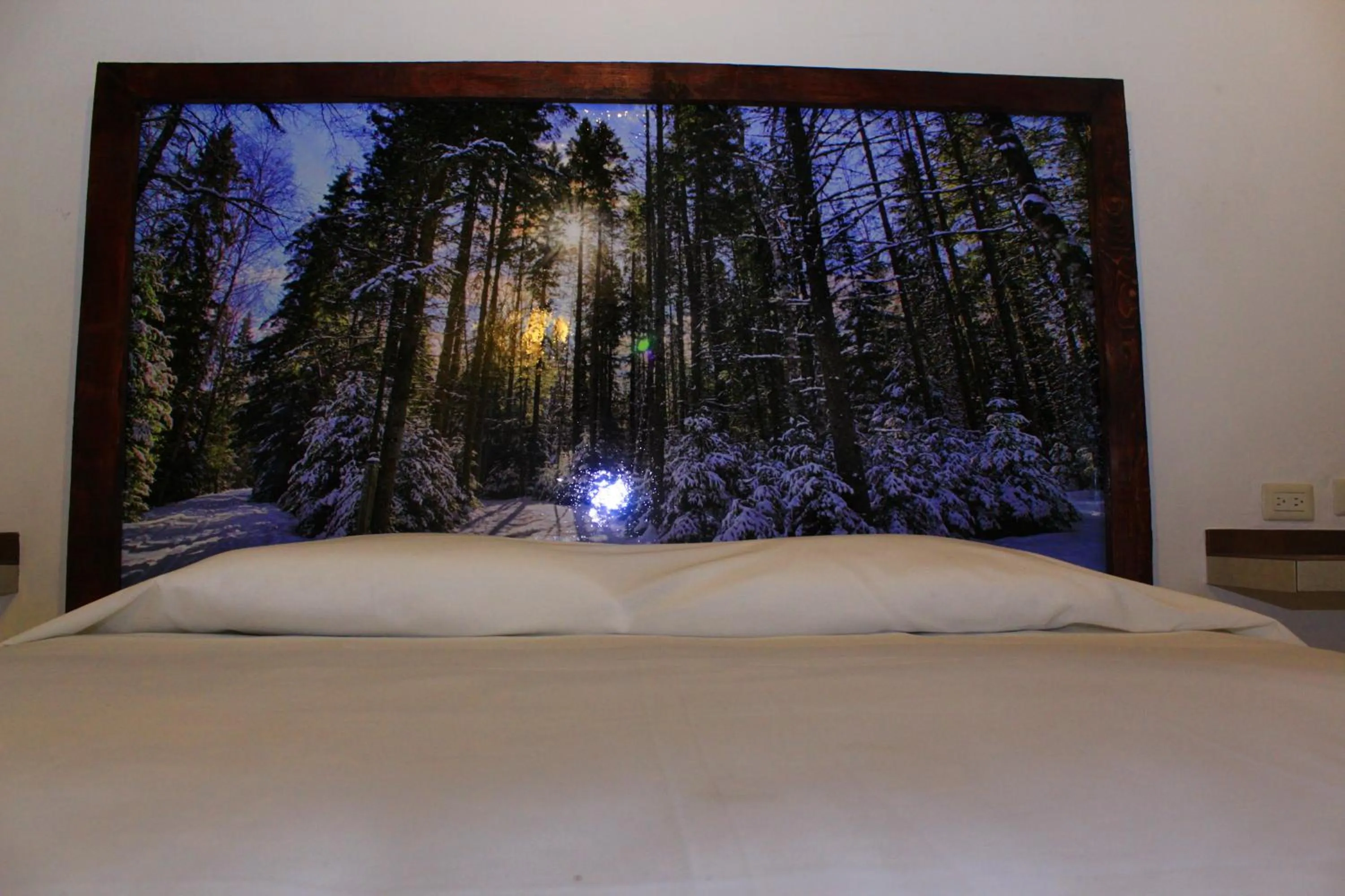 Bed in Hotel Atzalan