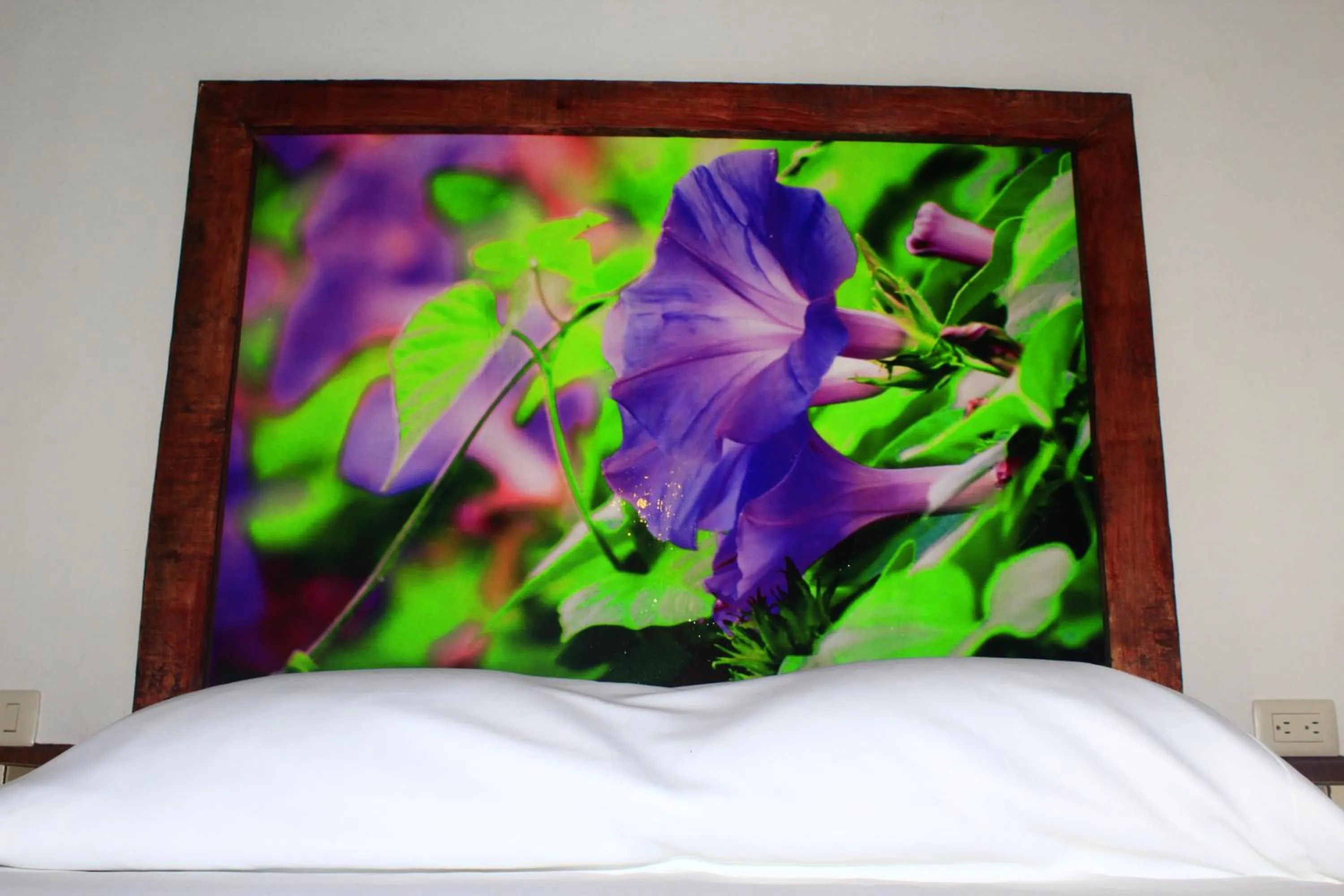 Bed in Hotel Atzalan