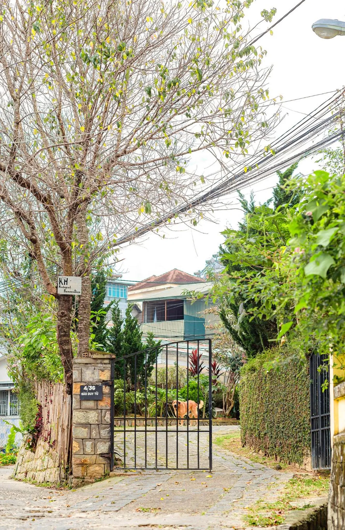 Property building in The Kadupul Homecation