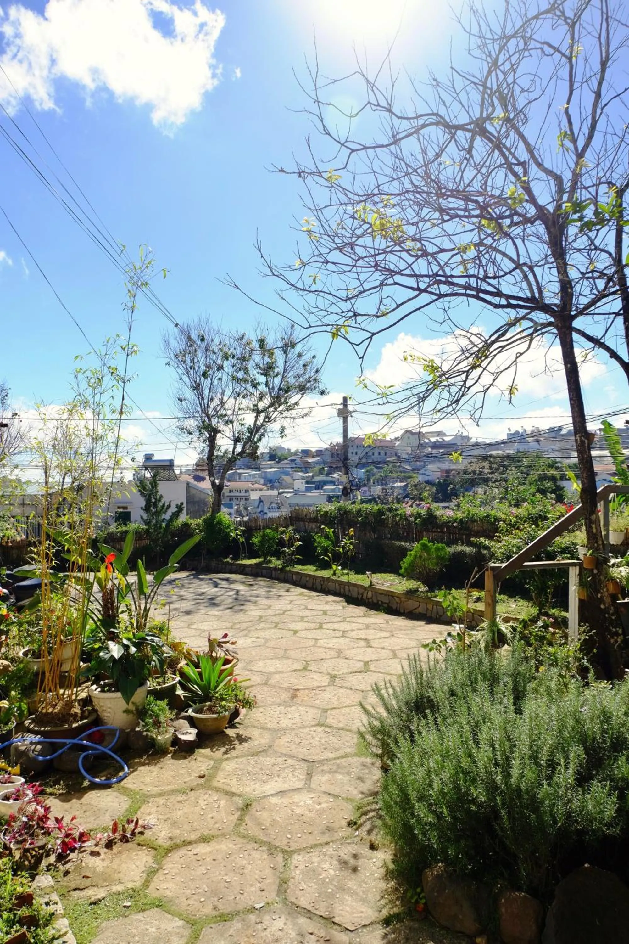 Garden in The Kadupul Homecation