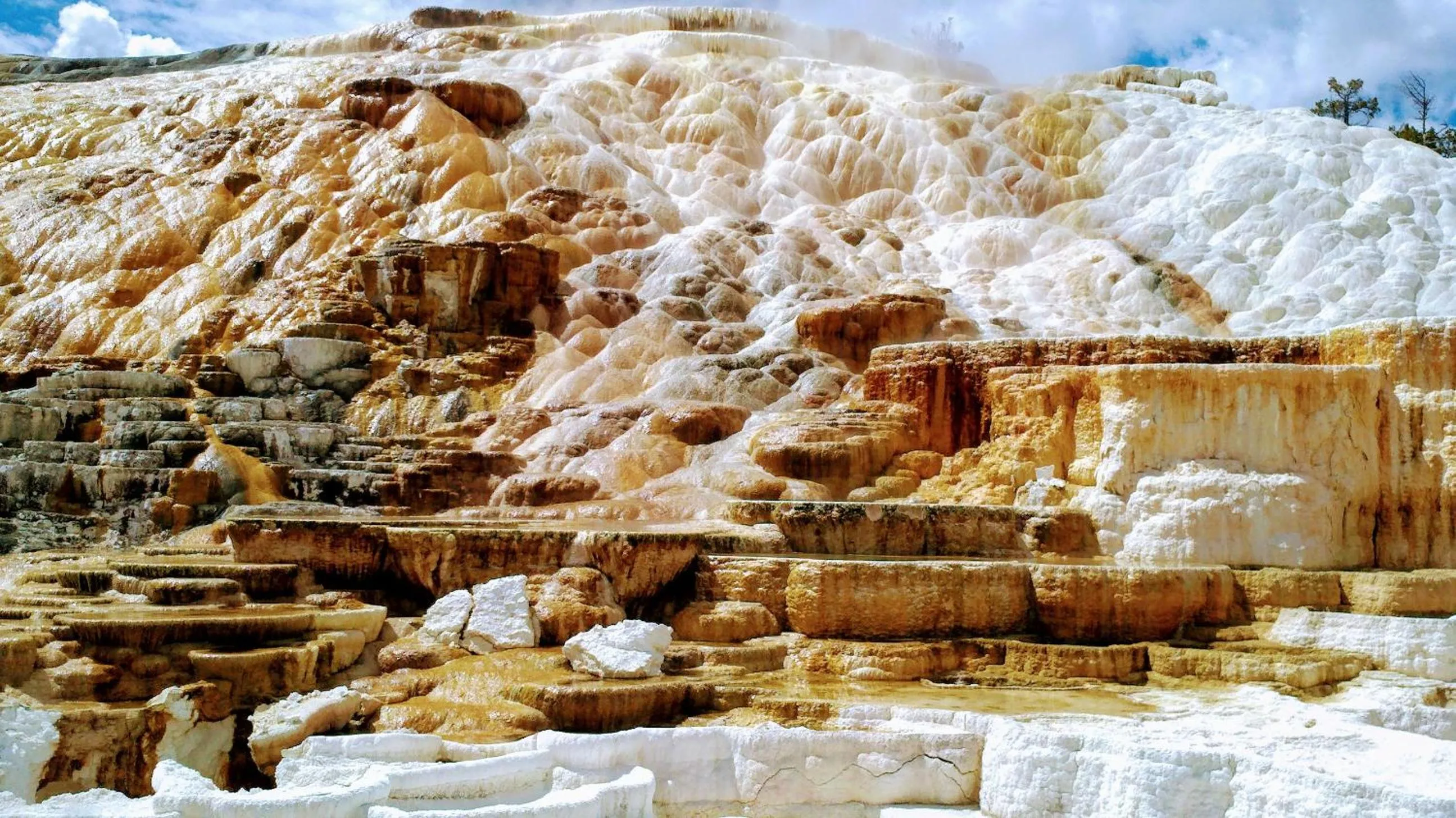 Day in Three Bears Inn