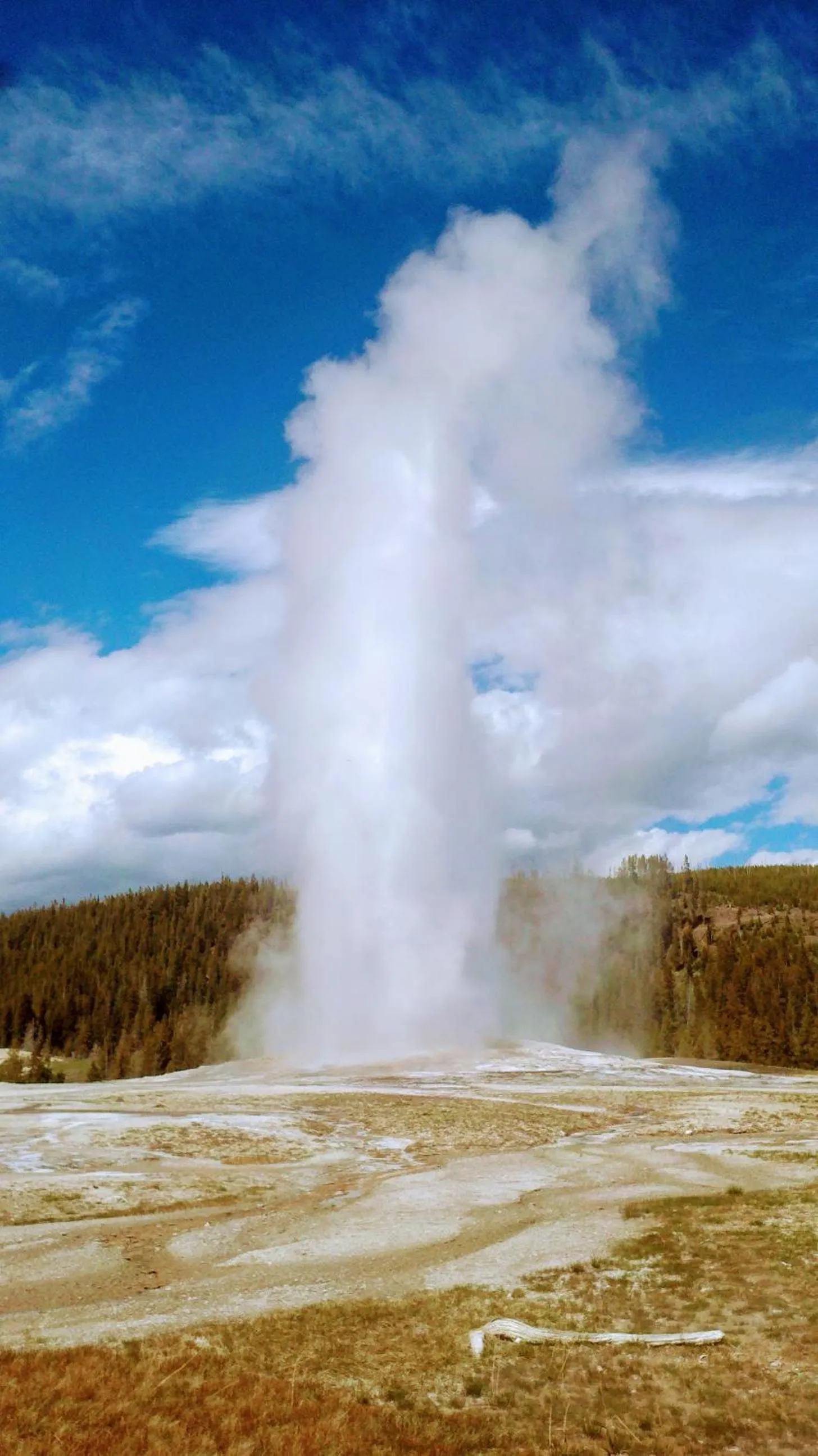 Nearby landmark in Three Bears Inn