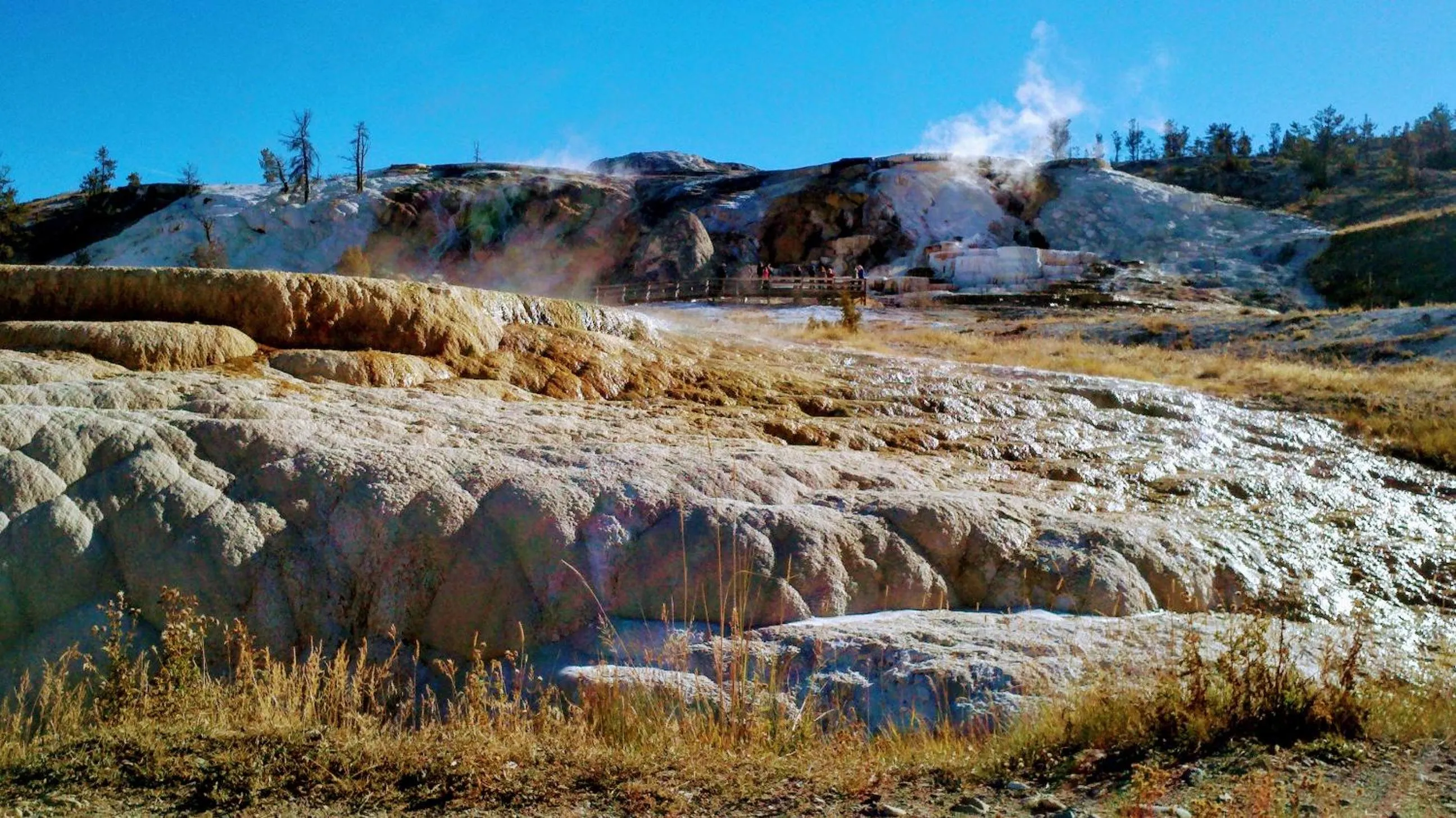 Natural landscape in Three Bears Inn