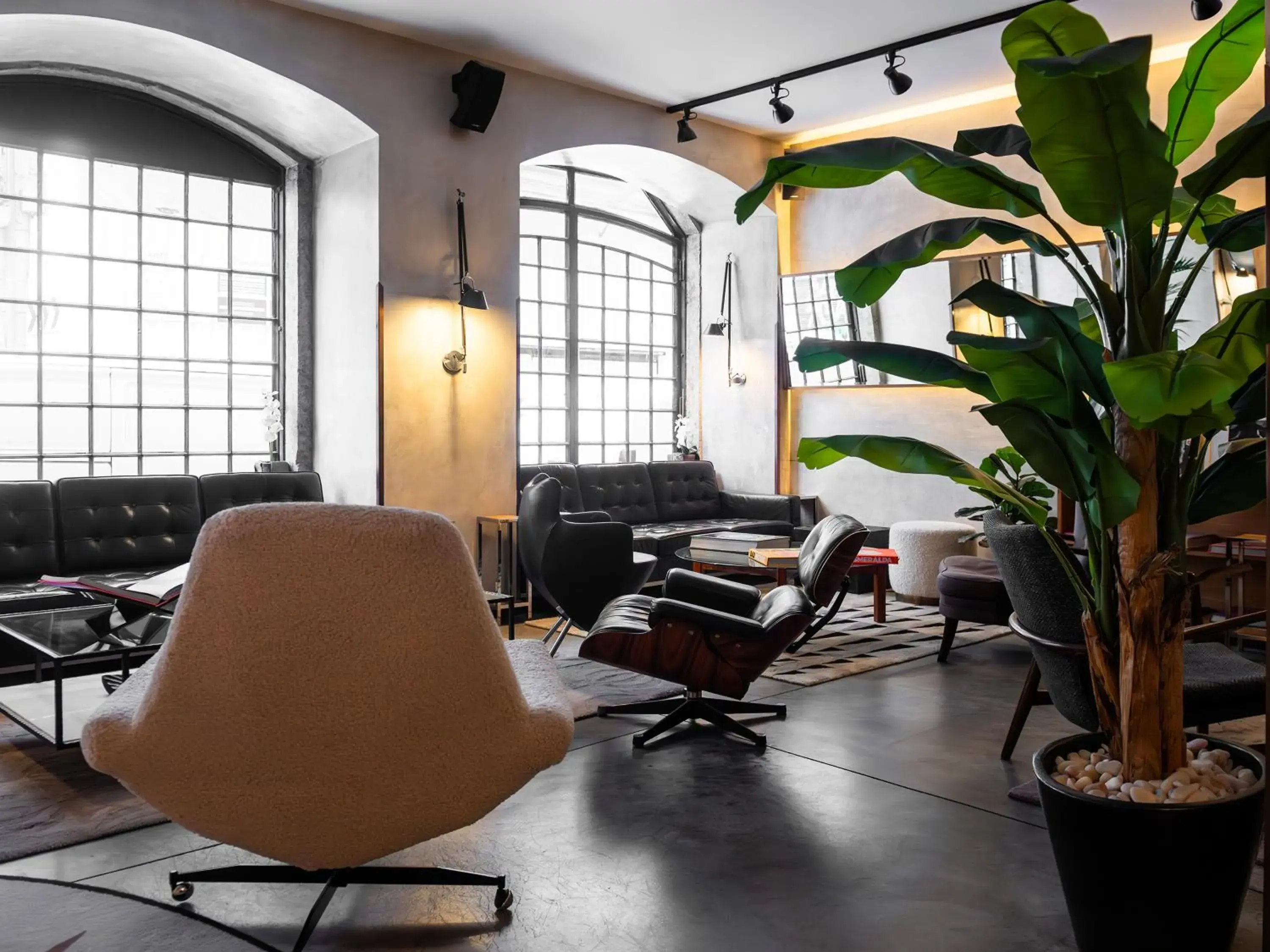 Lobby or reception in Browns Downtown Hotel Lobby or reception in Browns Downtown Hotel