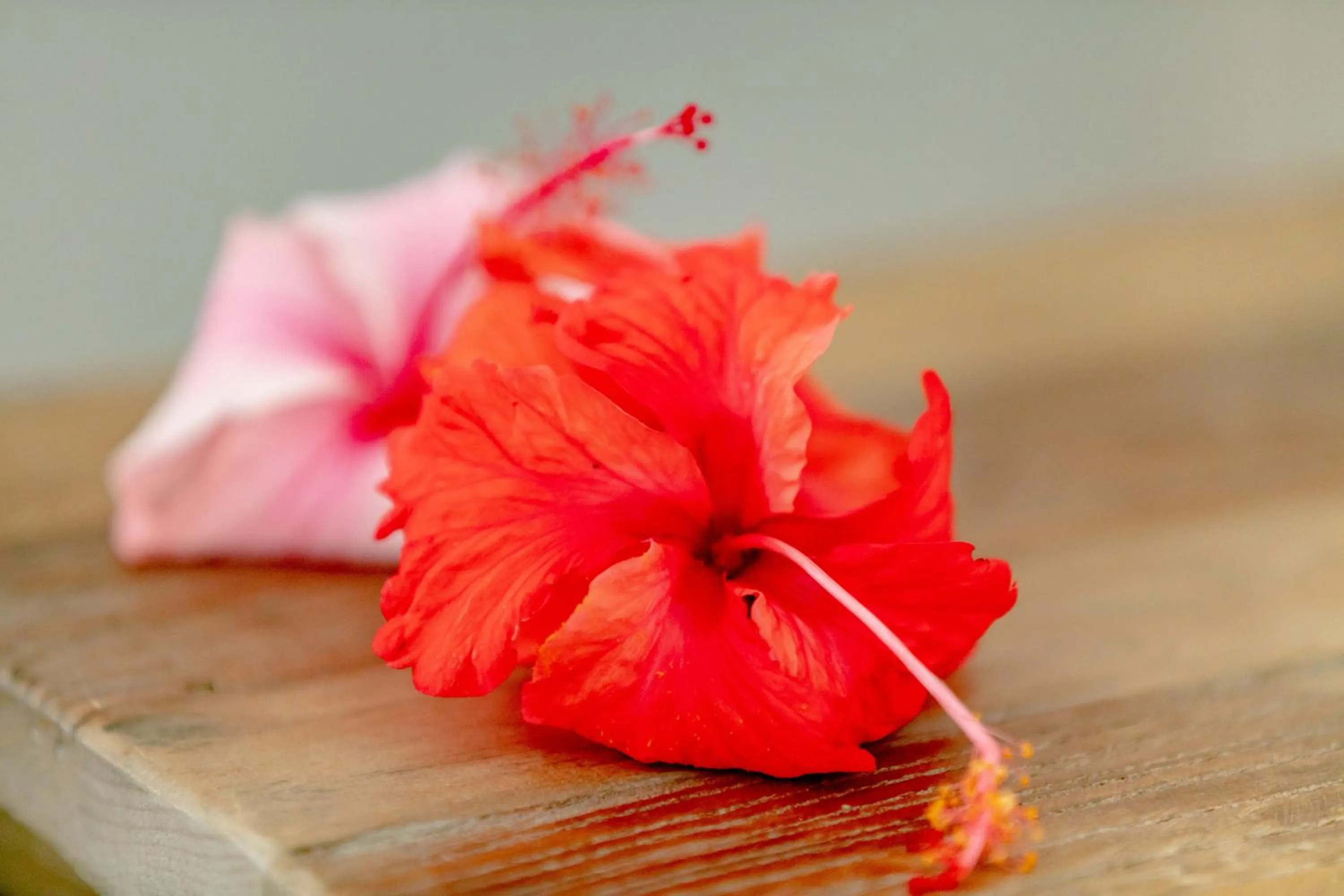 Property building in Village du Pecheur