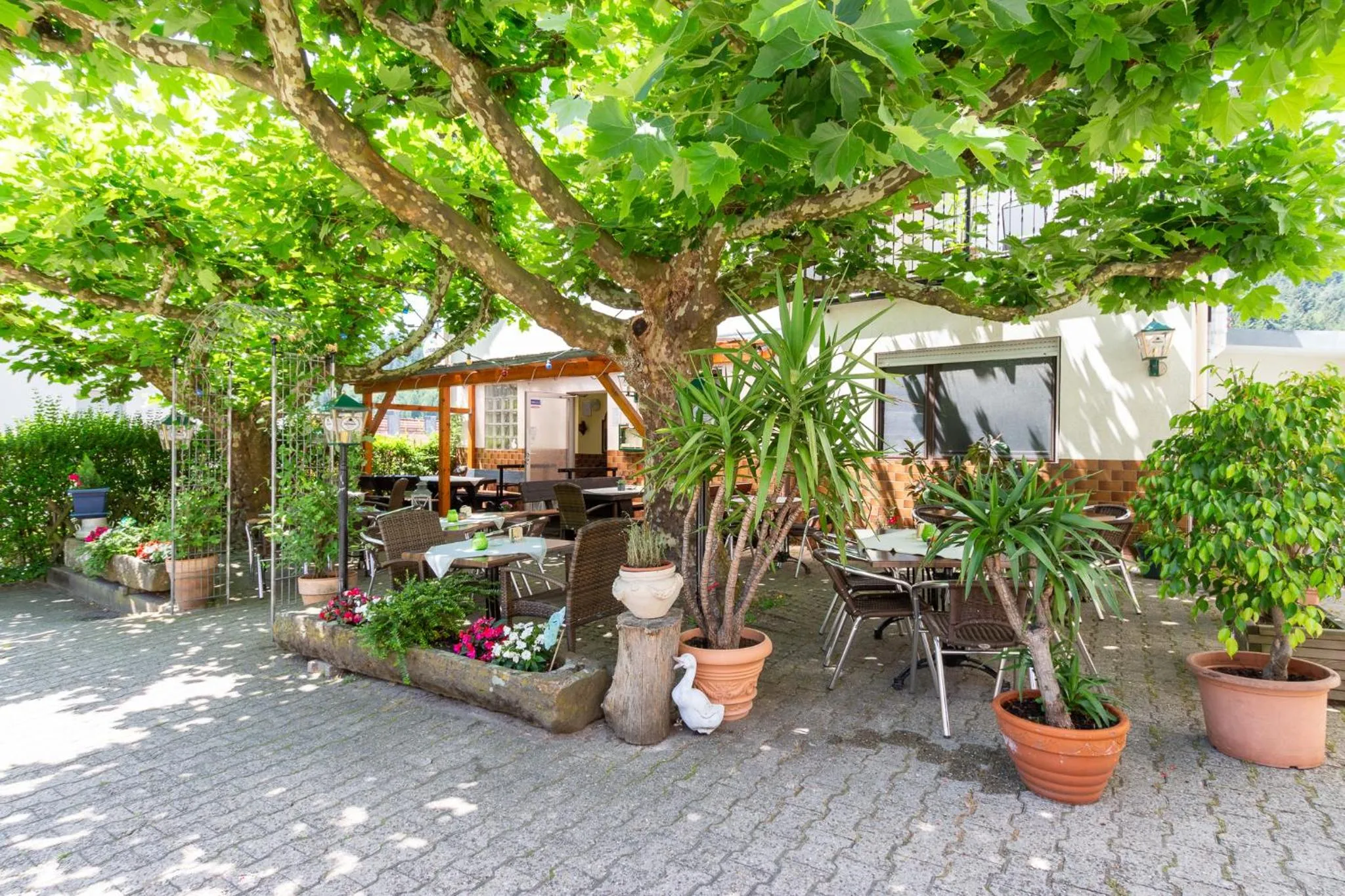 Balcony/Terrace in Zum Waldhorn