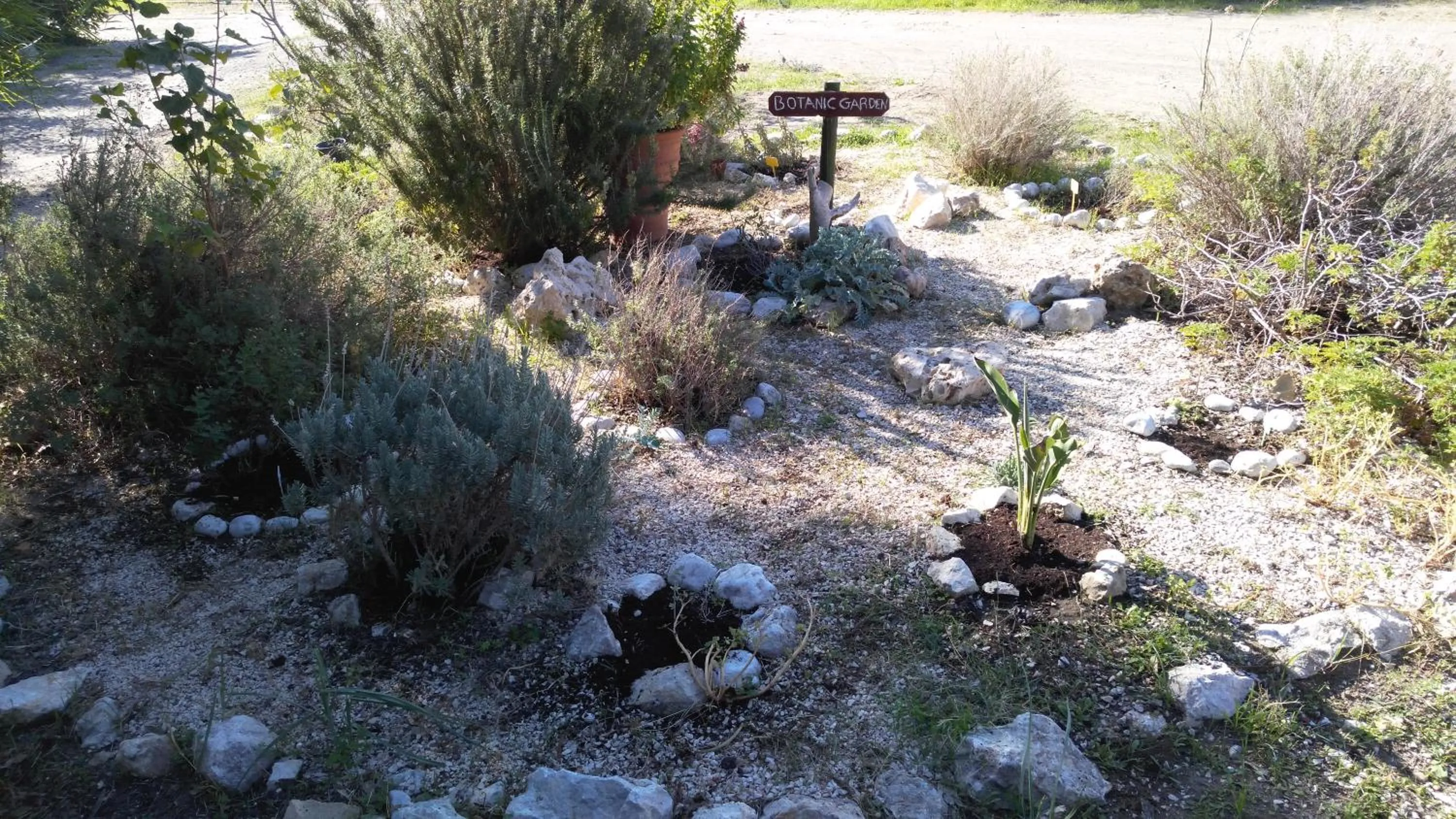 Spring in Dolphin Apartments