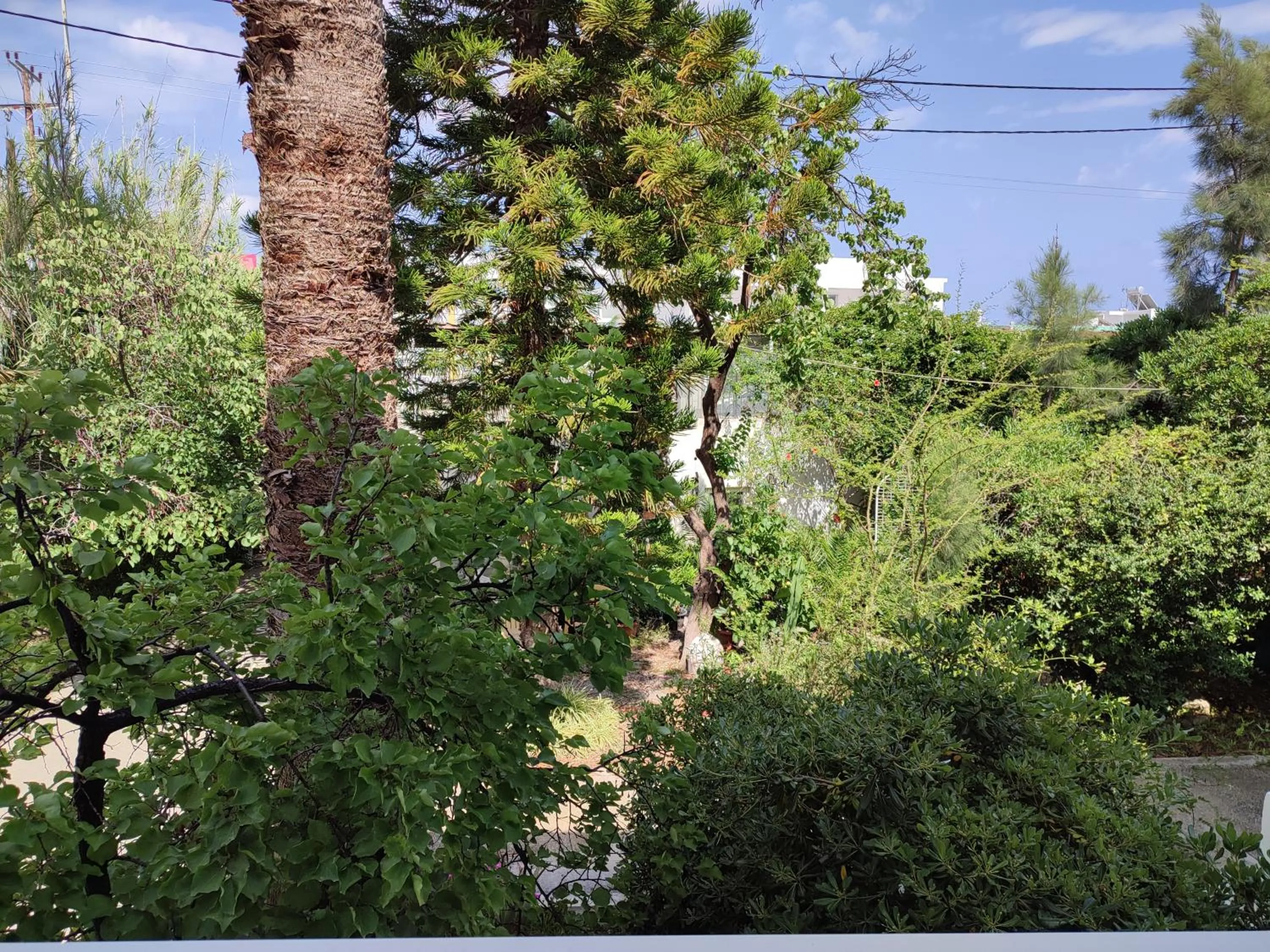 Spring in Dolphin Apartments