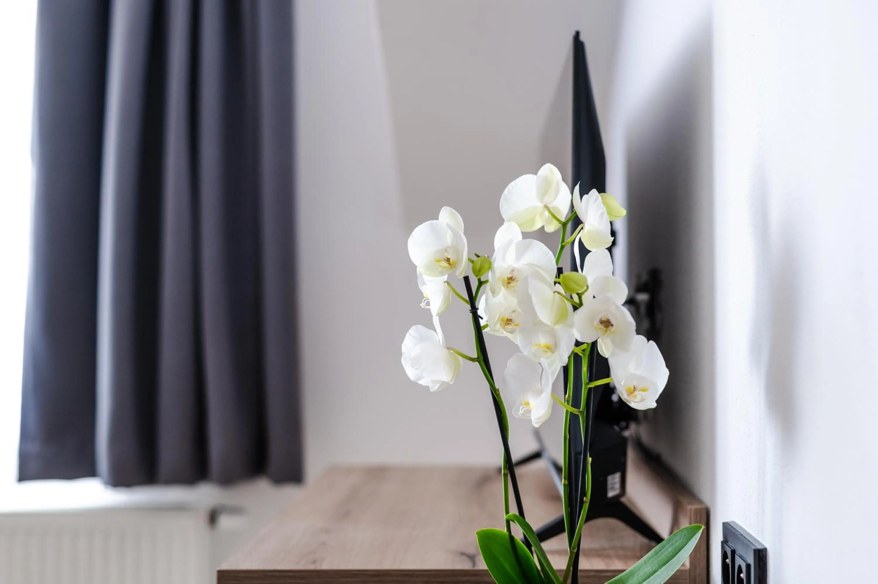 No 28 Rooms & Apartments