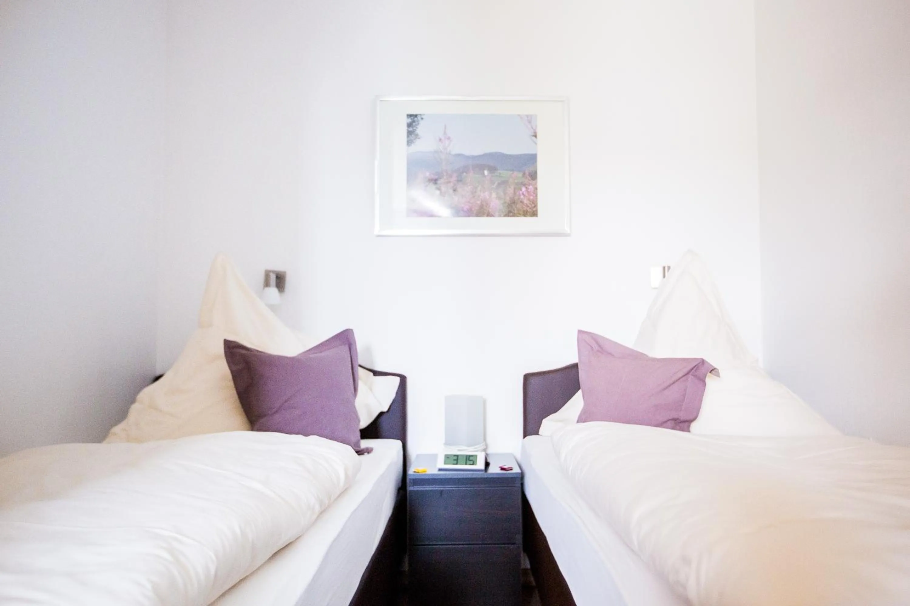 Bed in Ferienwohnanlage Prinzenhof