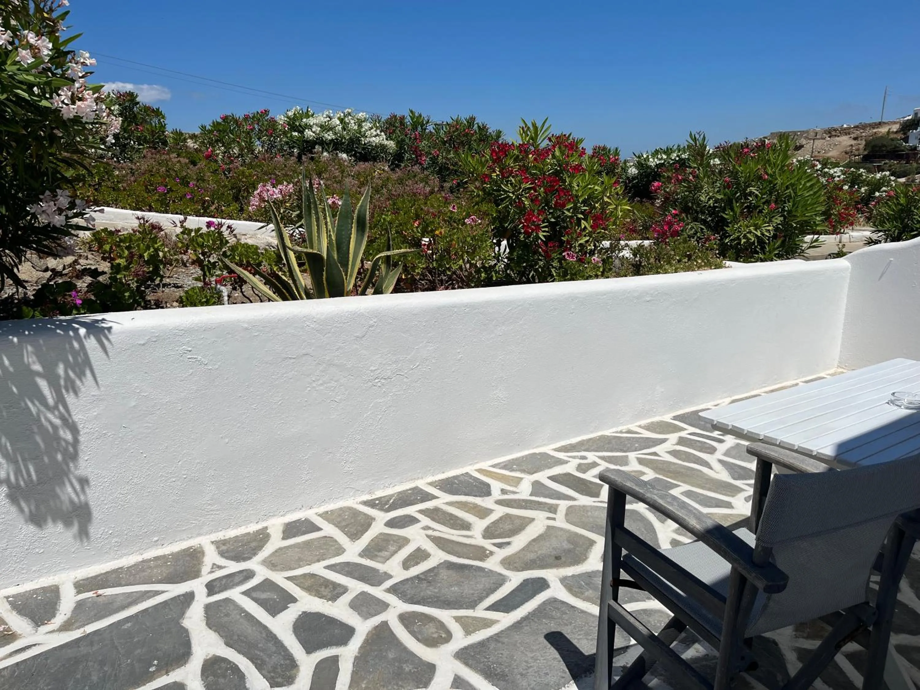 Garden view in Villa Margarita