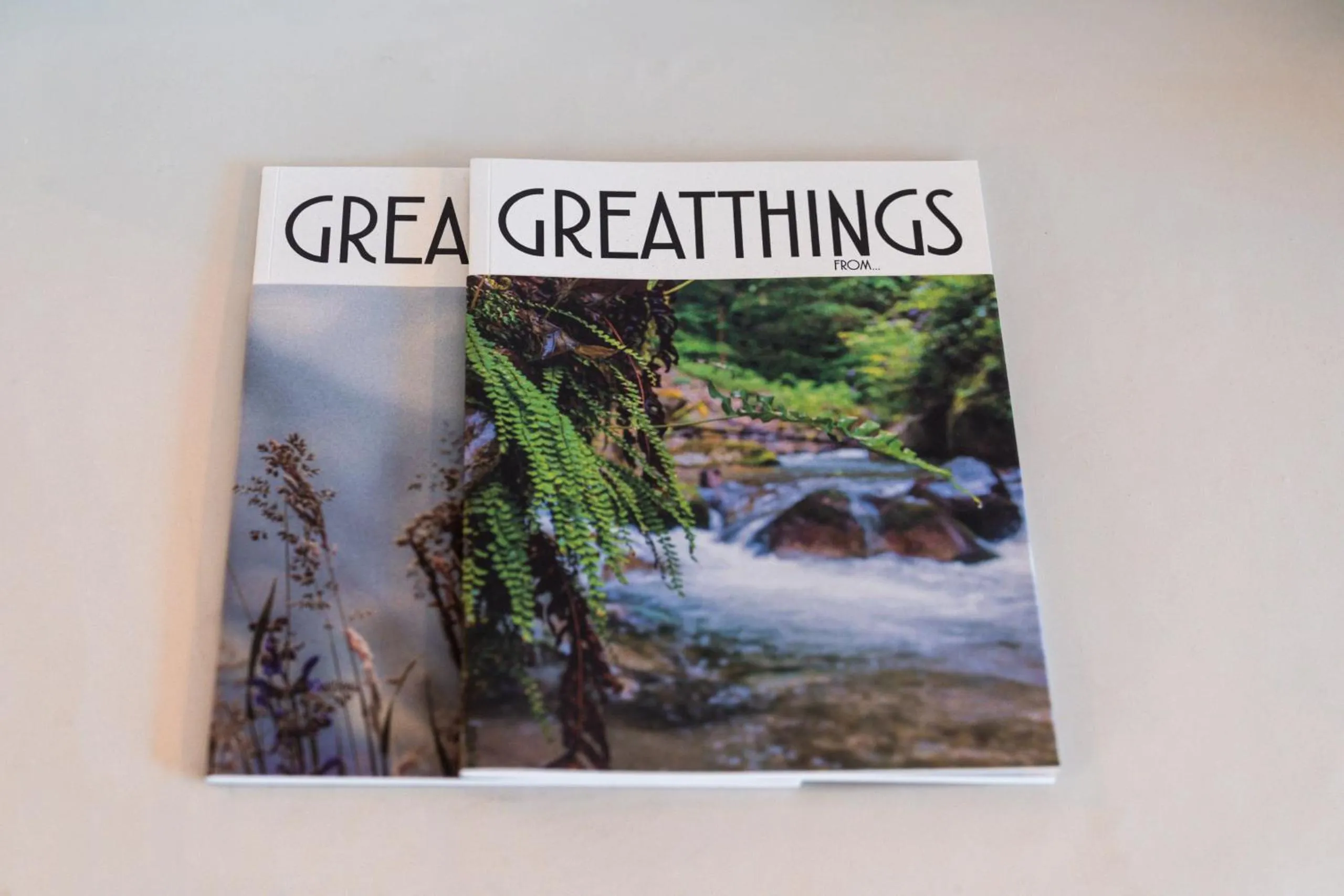 Decorative detail in goldfinger + suites