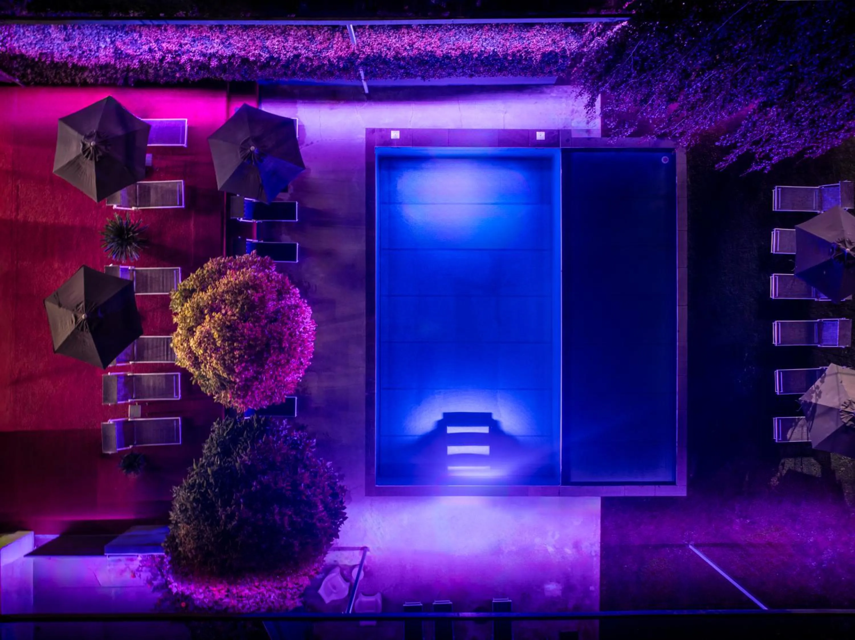 Swimming pool in goldfinger + suites