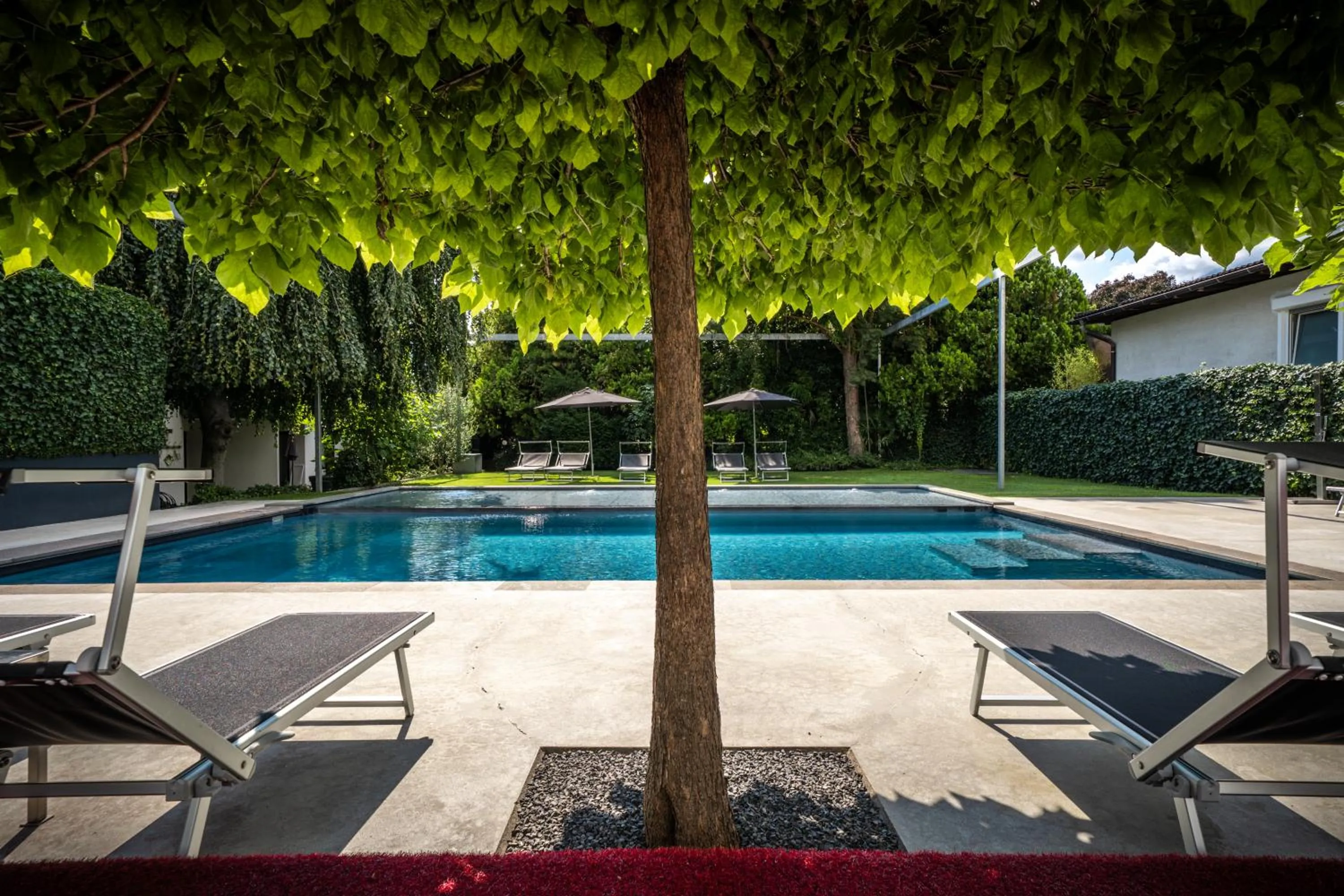 Pool view in goldfinger + suites