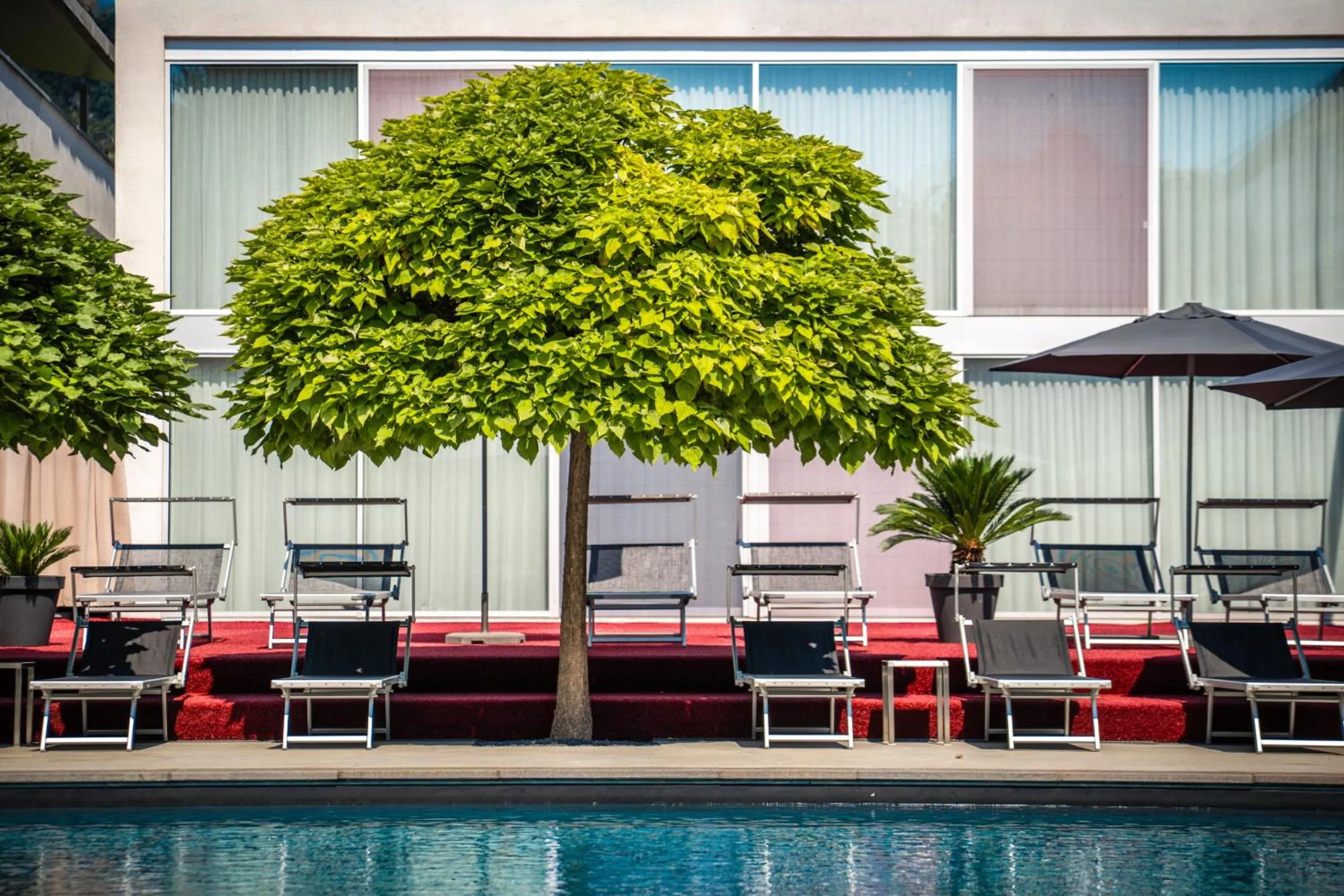 Garden in goldfinger + suites