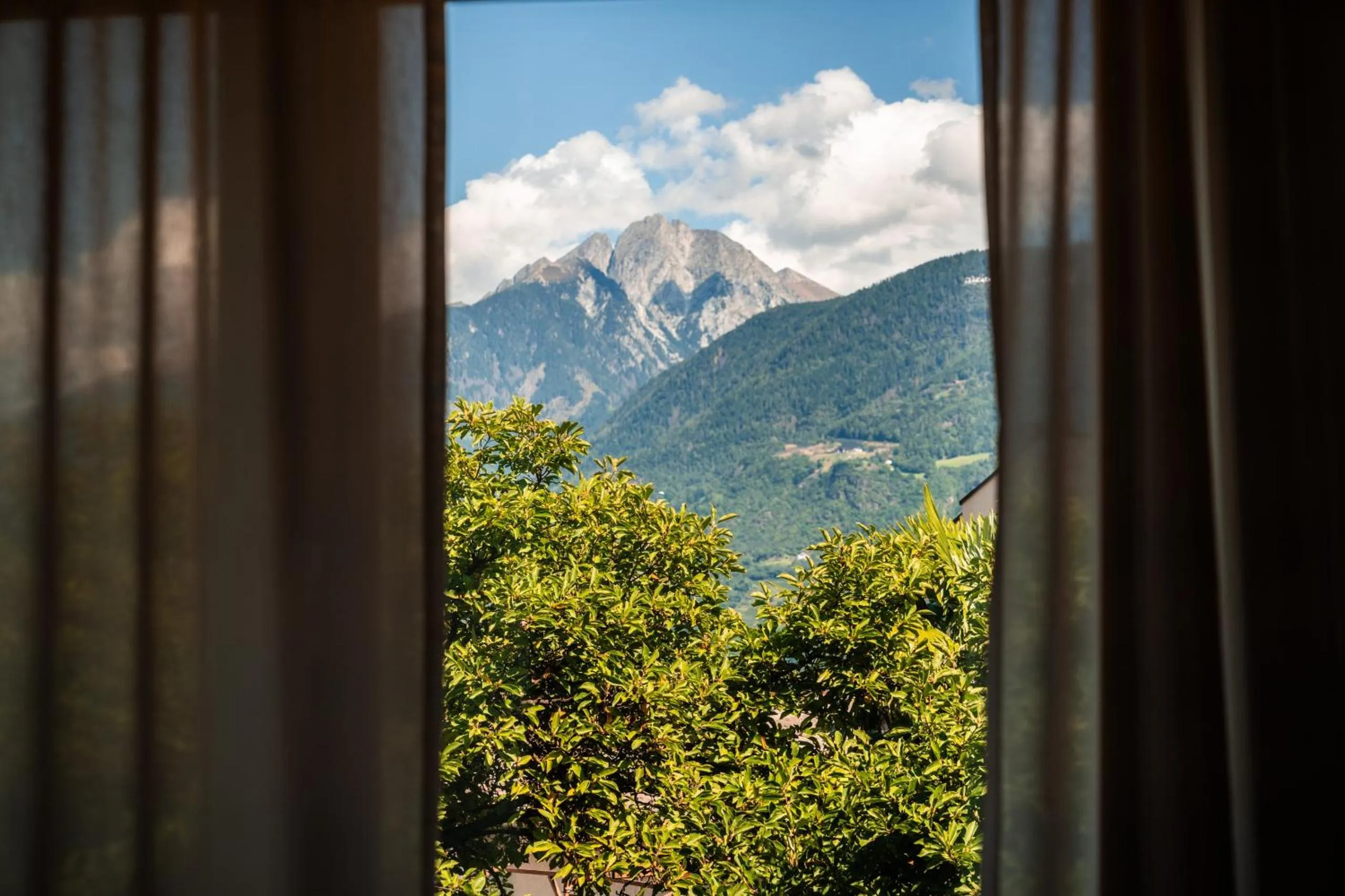 Natural landscape in goldfinger + suites