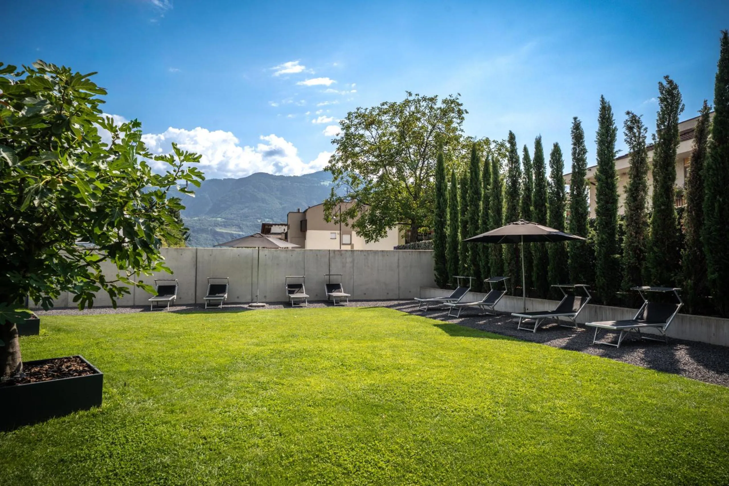 Garden in goldfinger + suites