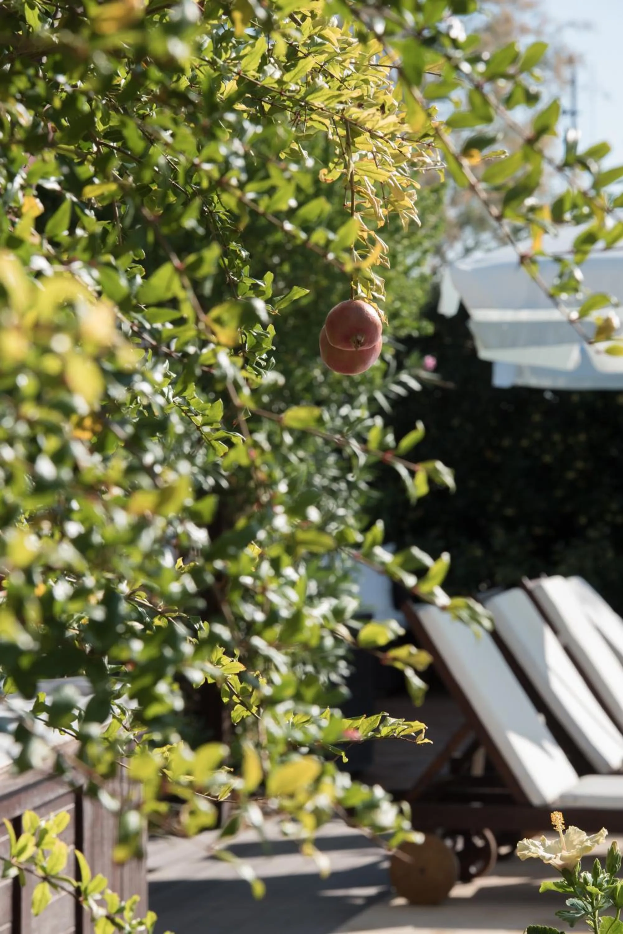 Communal lounge/ TV room in Enalio Suites