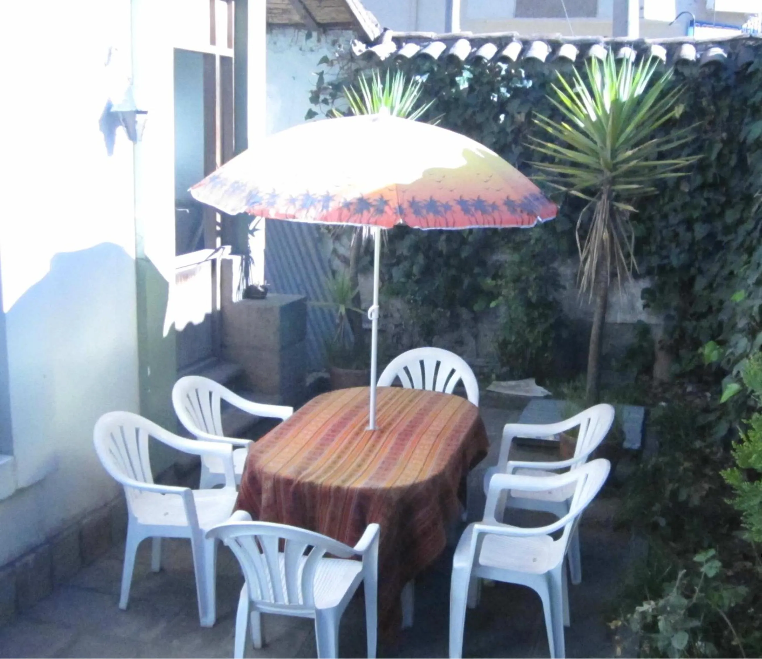 Patio in El Tuco Hotel