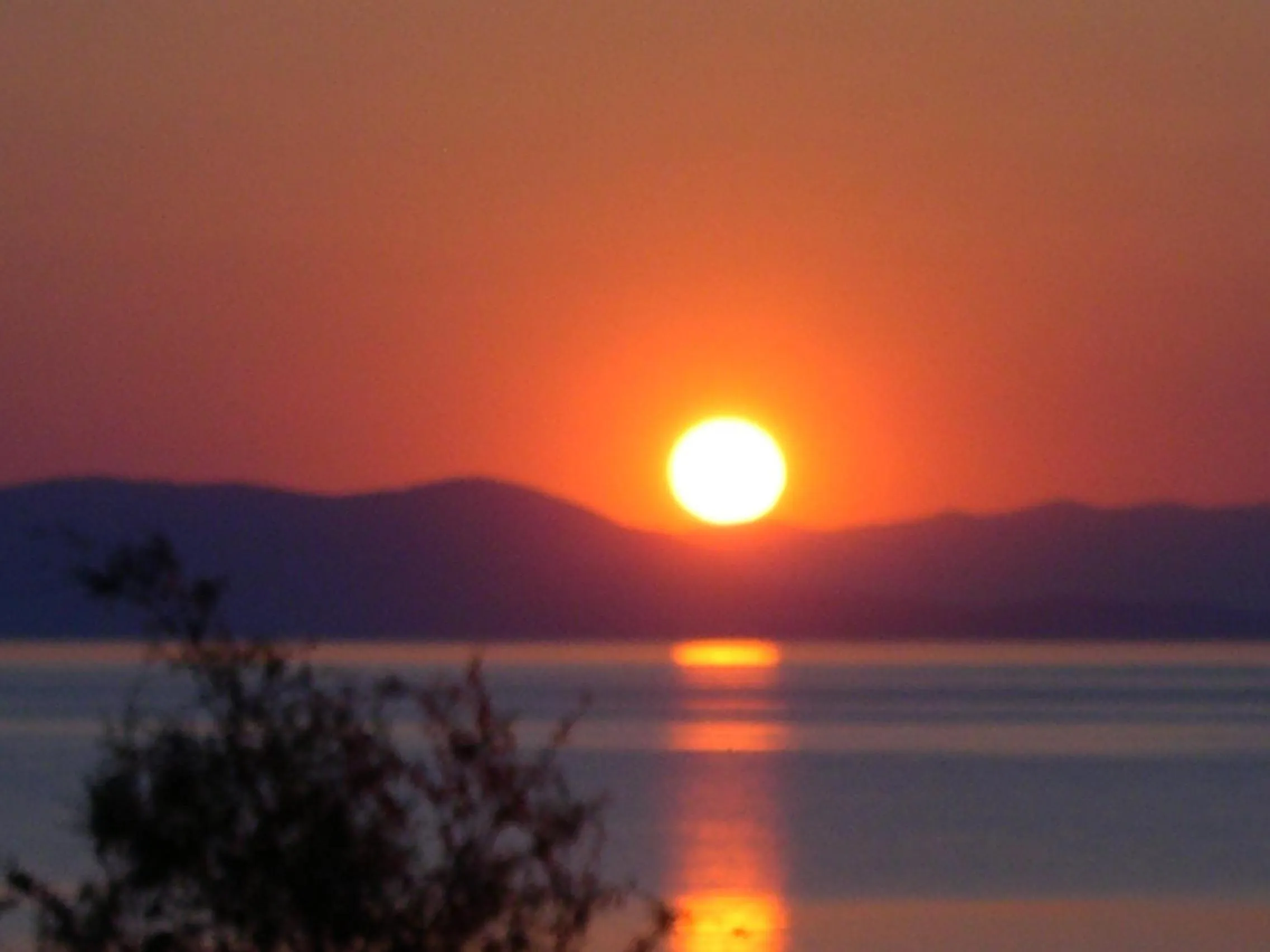 Natural landscape in Saronis Hotel