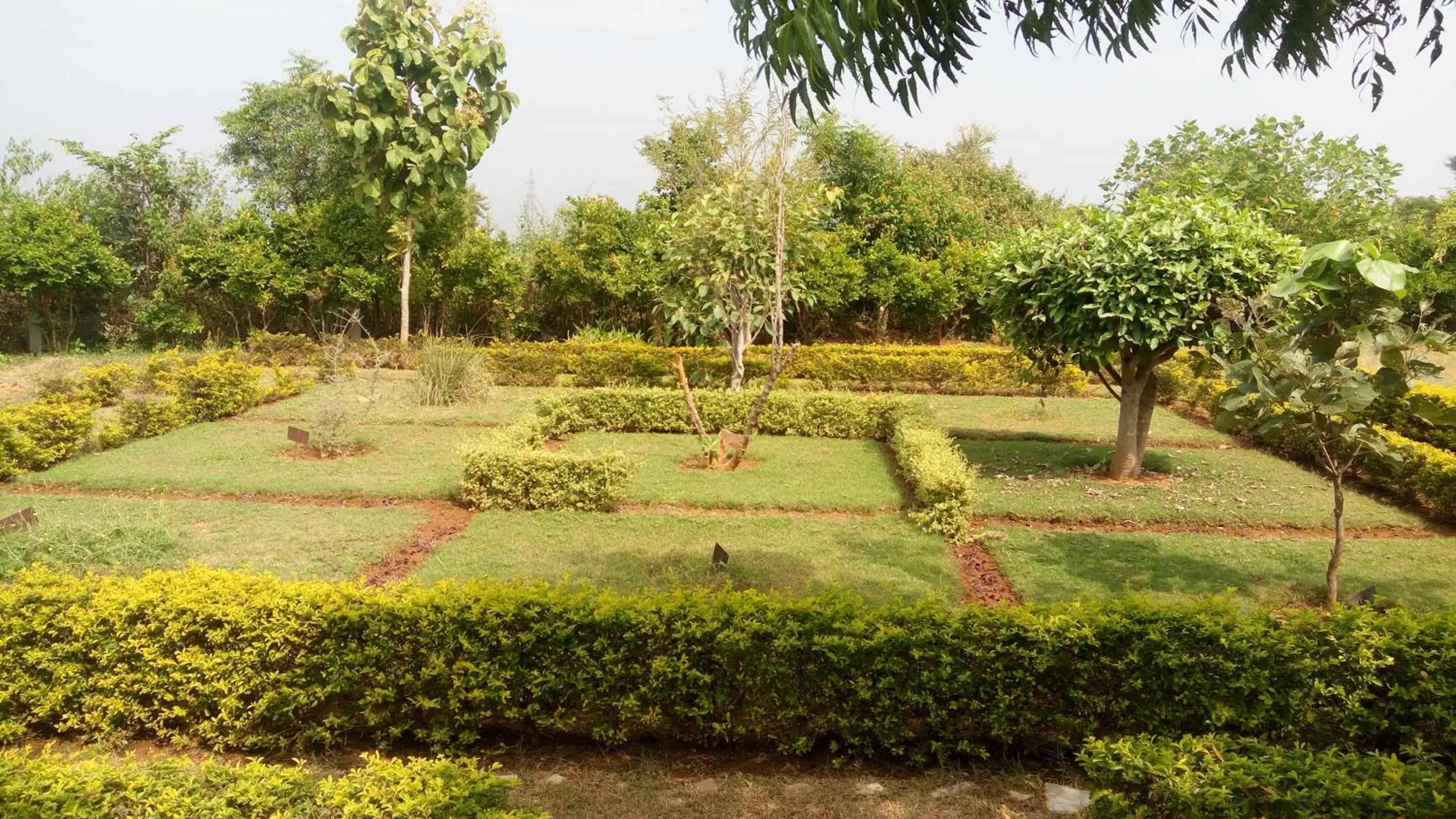 Garden in An Authentic Village Farm