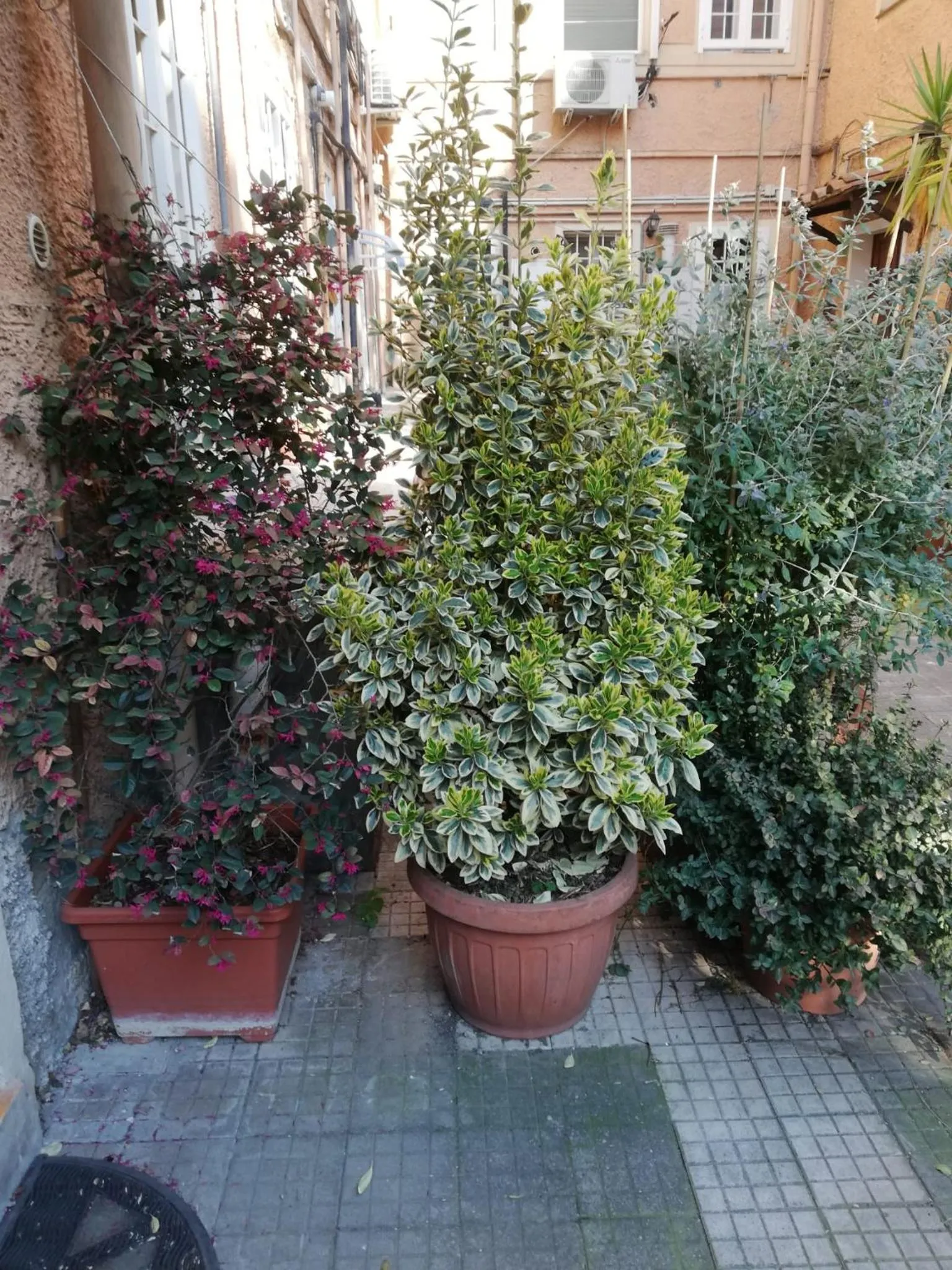 Tra Gianicolo e Trastevere