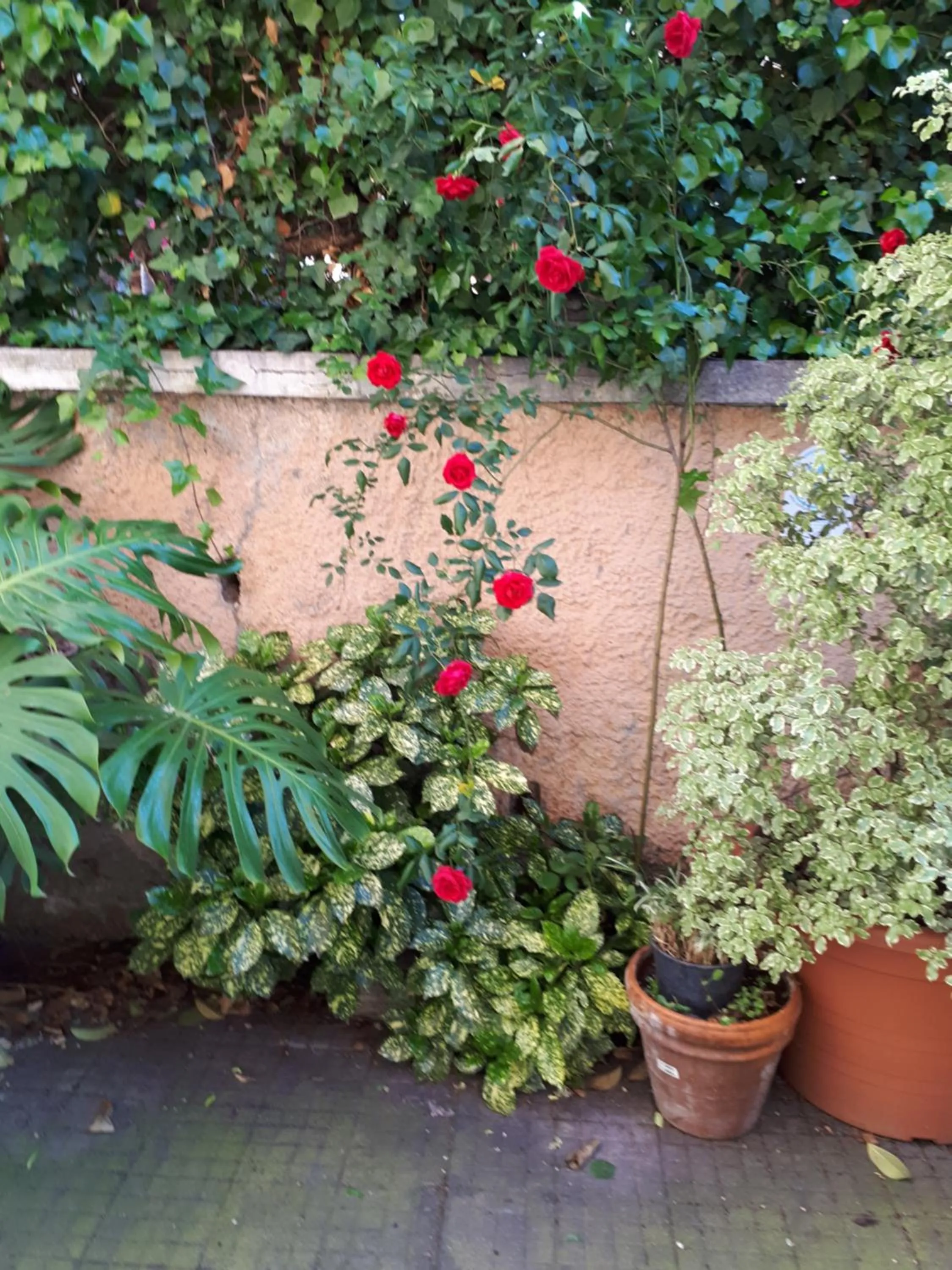 Tra Gianicolo e Trastevere