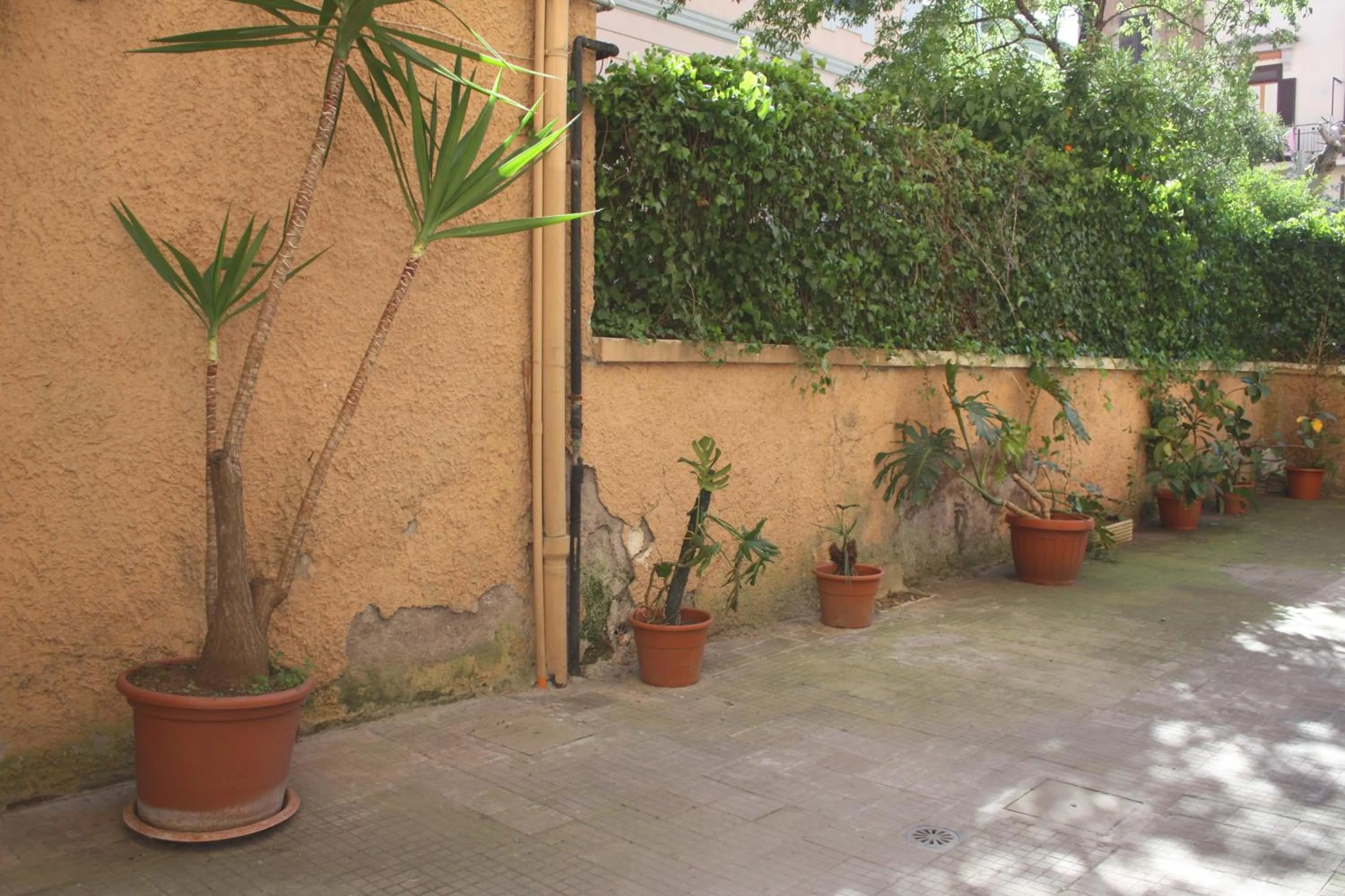 Day in Tra Gianicolo e Trastevere