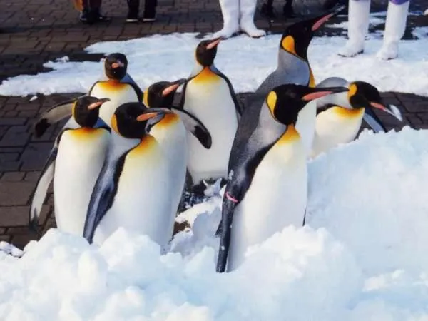 Nearby landmark in Karurusu Onsen Yumoto Orofuresou