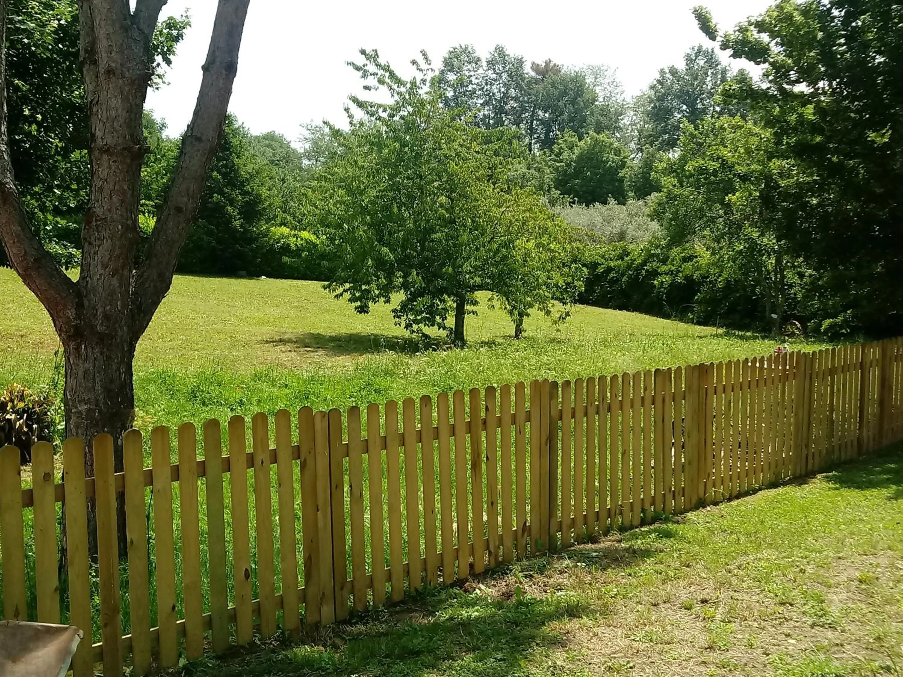 Garden in B&B Il Pittore