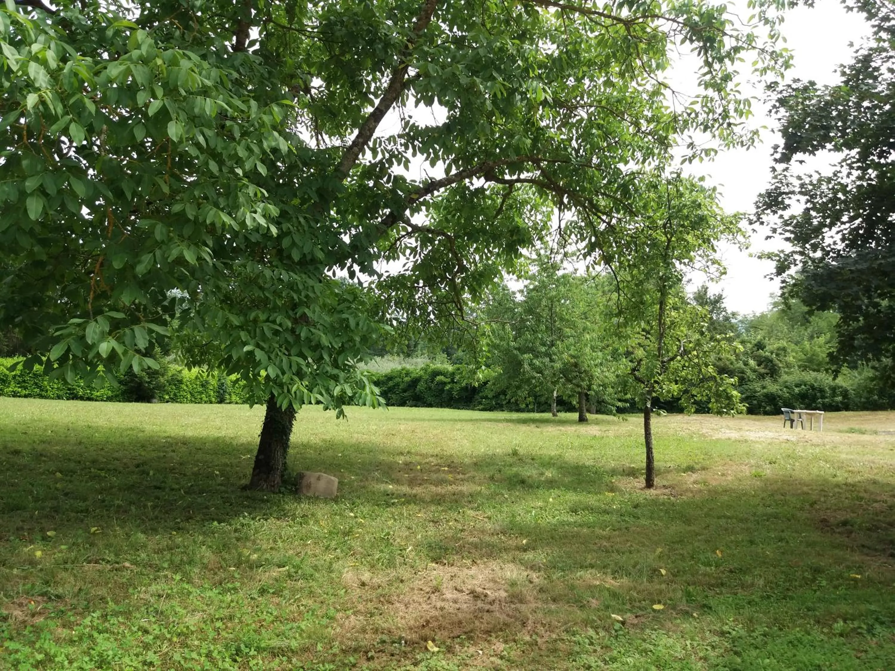 Garden in B&B Il Pittore