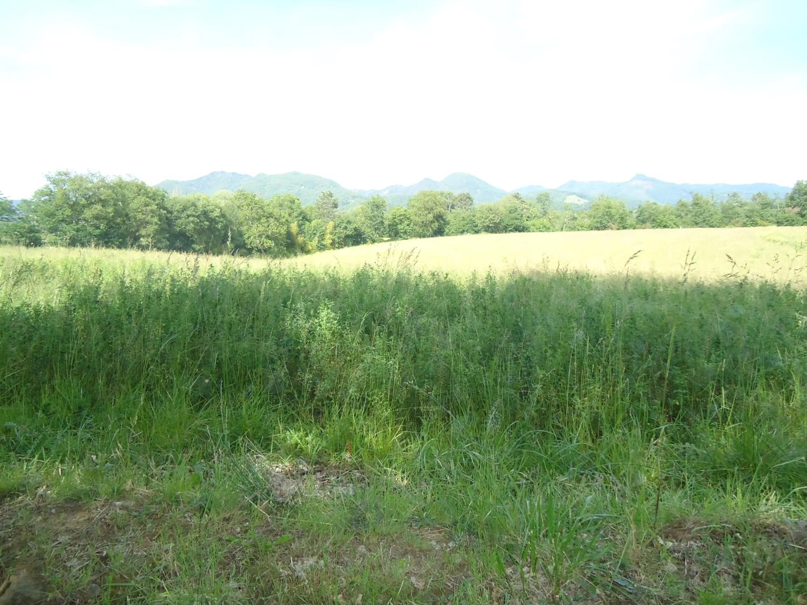 Property building in B&B Il Pittore