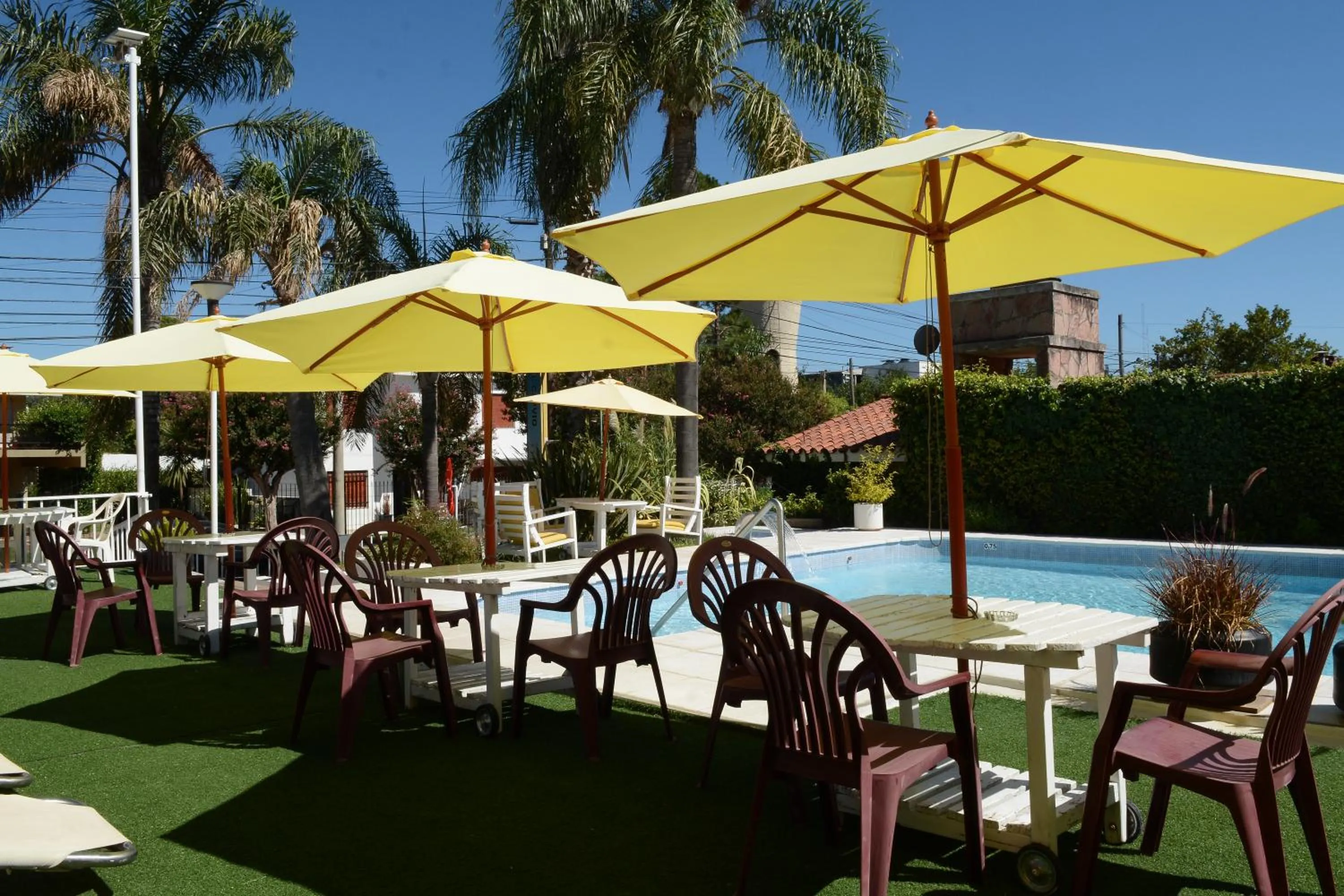 Garden in Hotel Capvio