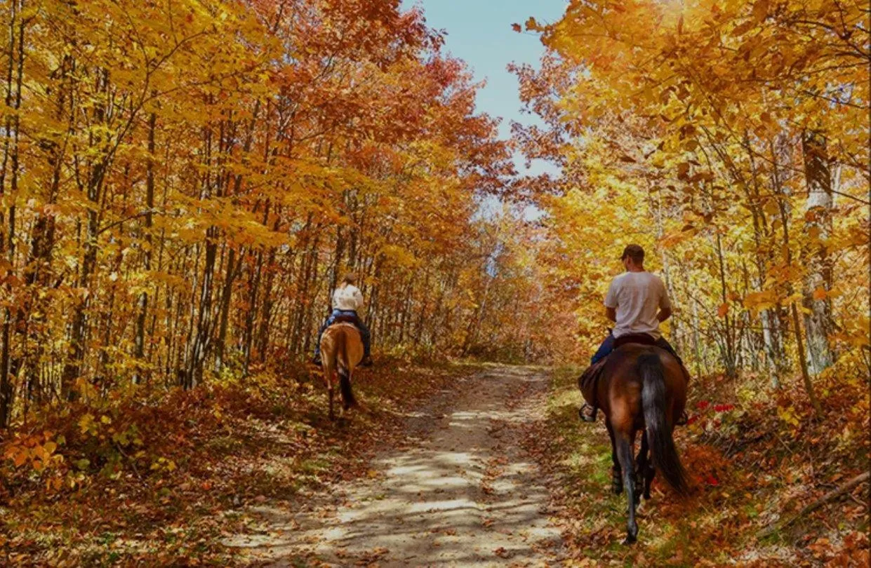 Horse-riding in A Magical Experience