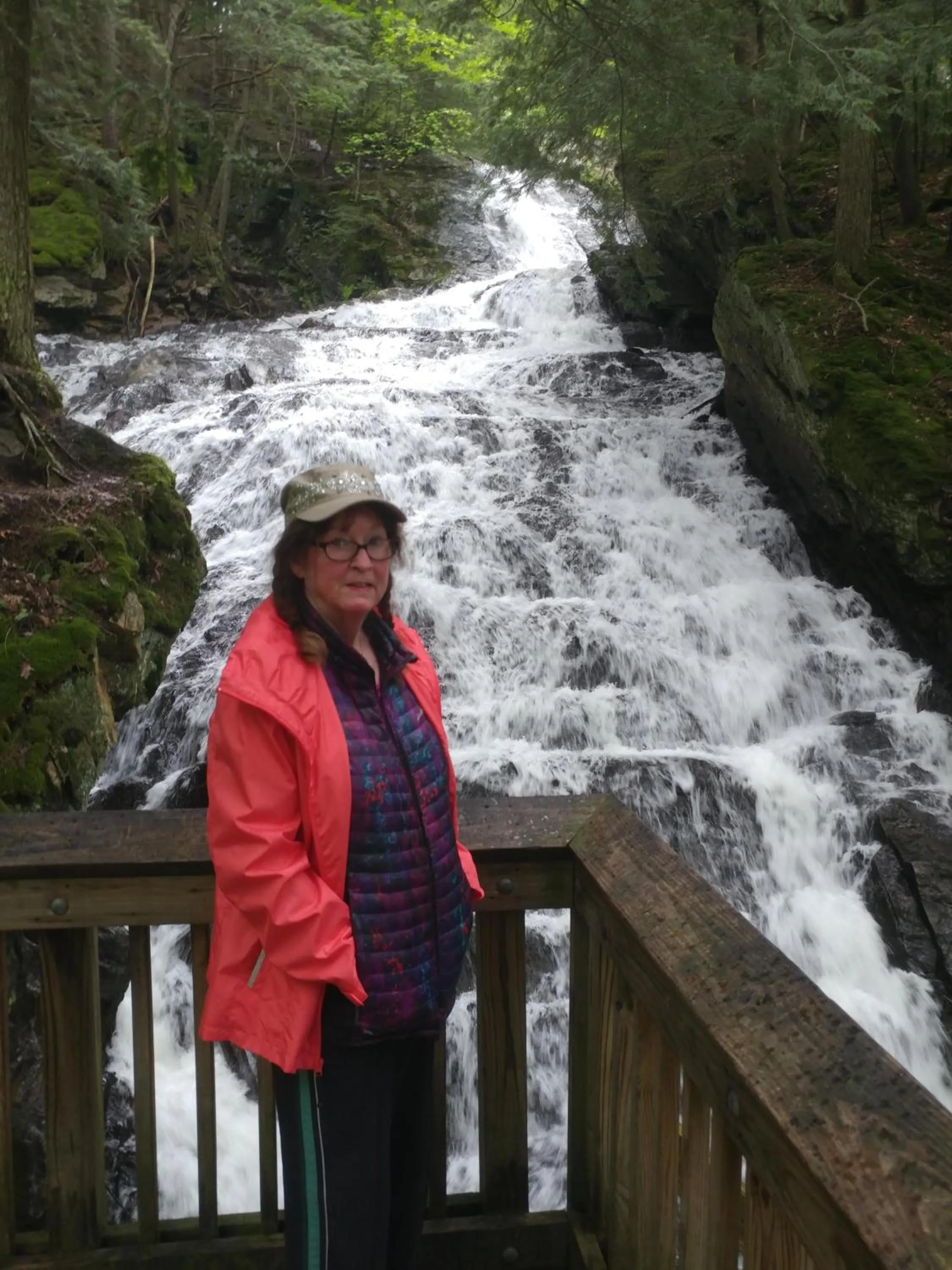 Natural landscape in Cricket Hill Lodging