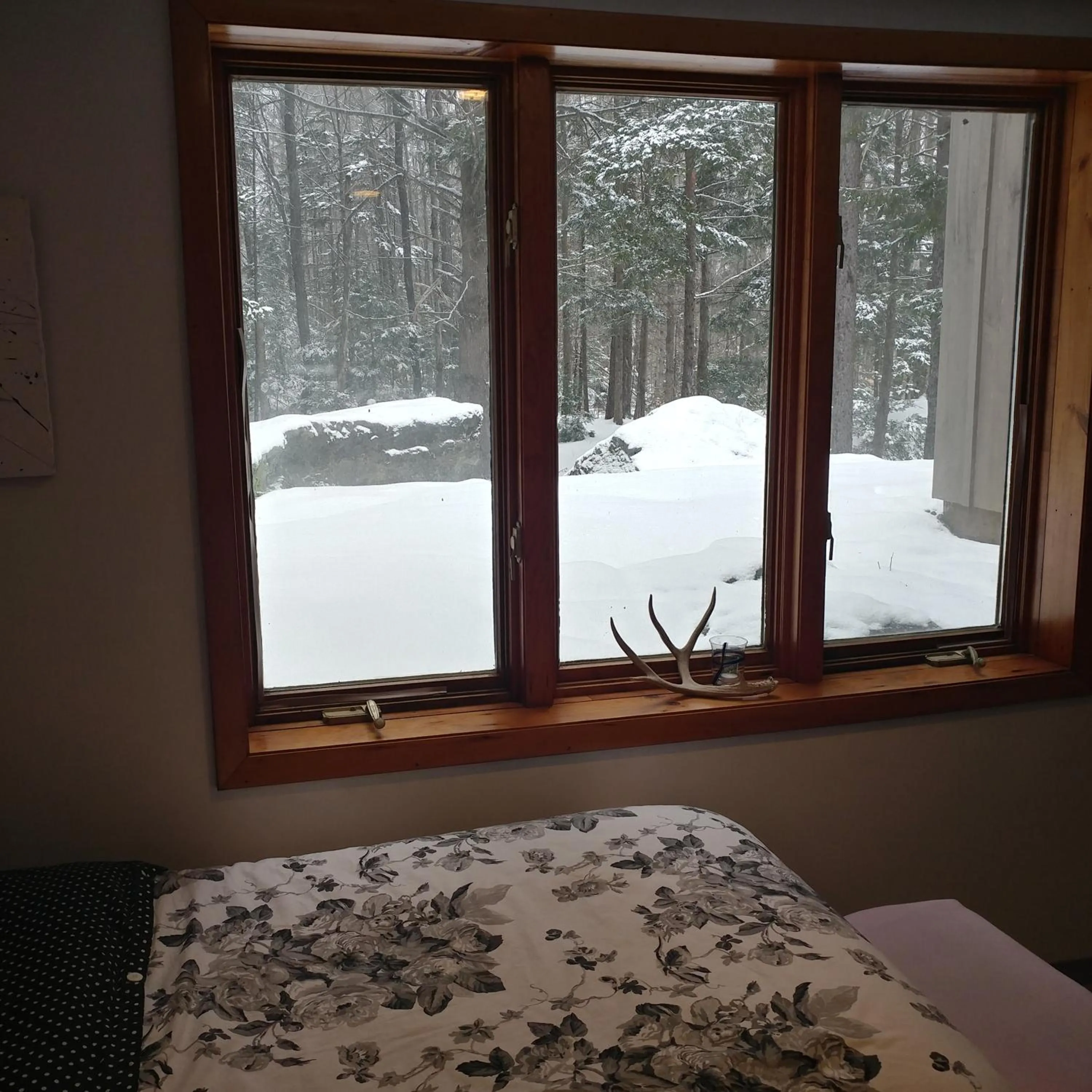 Bed in Cricket Hill Lodging