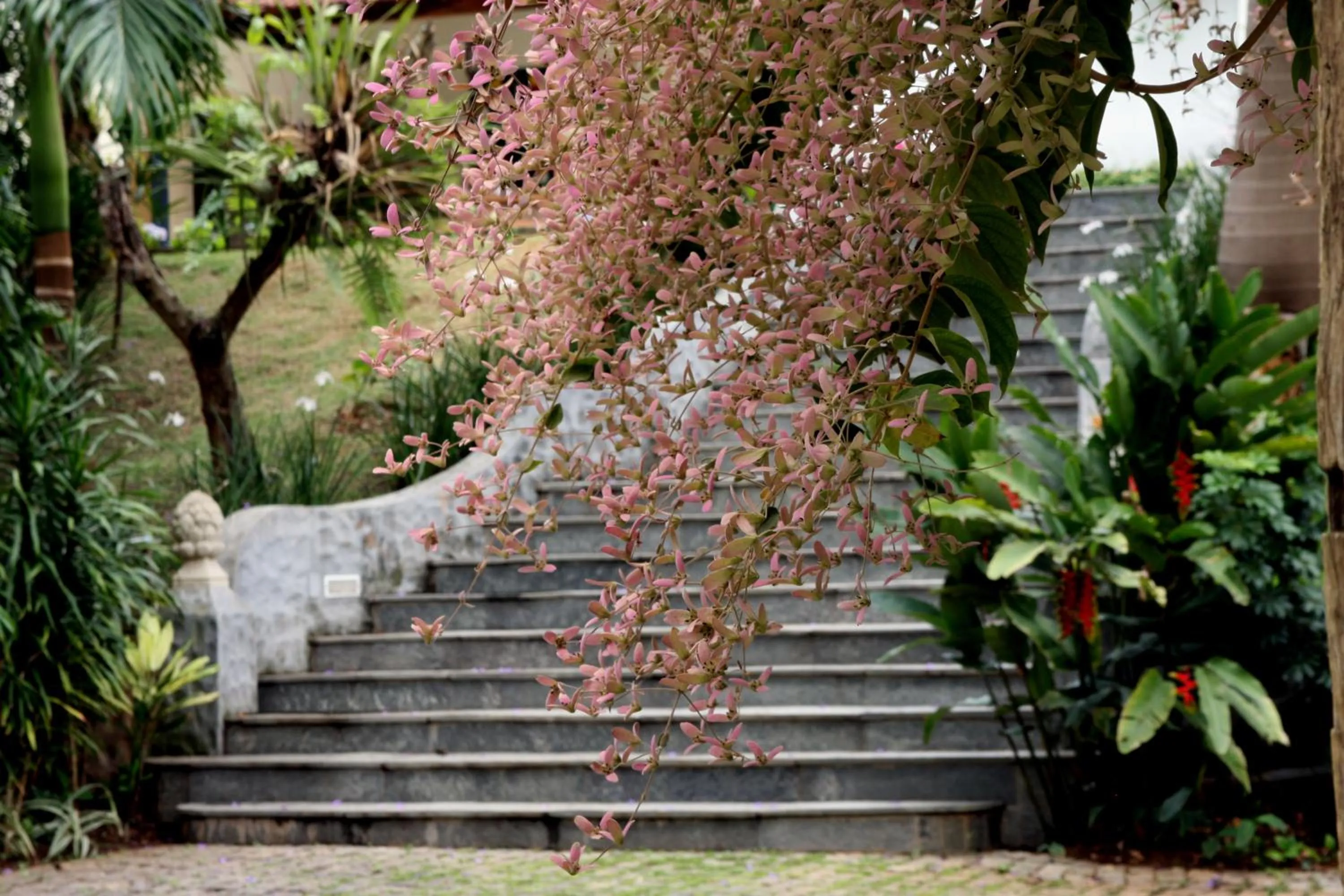Garden in Pousada Villa Magnolia