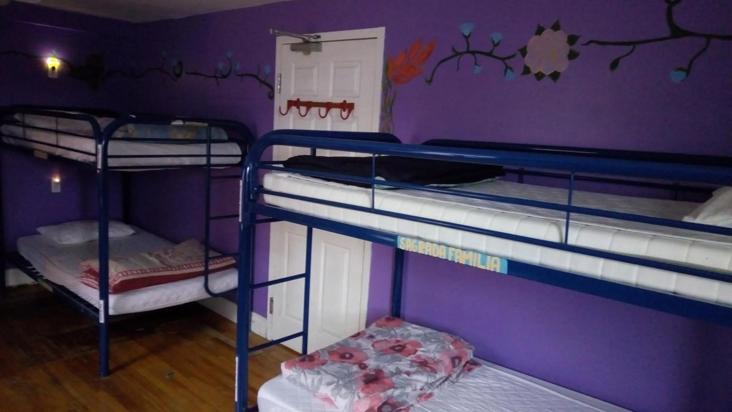 bunk bed, Bed in Ottawa Backpackers Inn