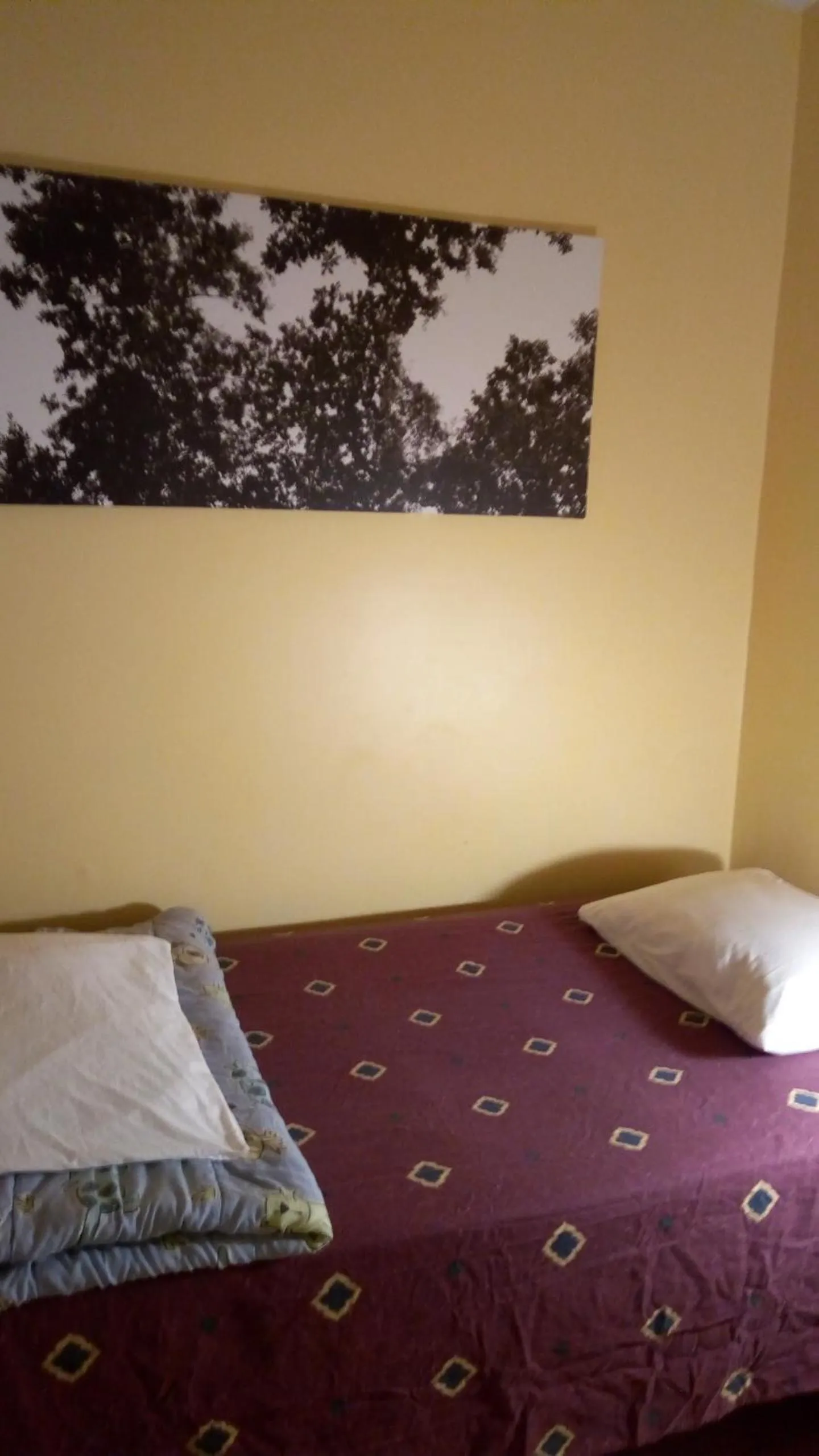 Bed in Ottawa Backpackers Inn