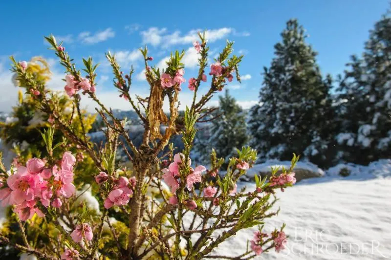 Hosteria Las Lengas by Visionnaire