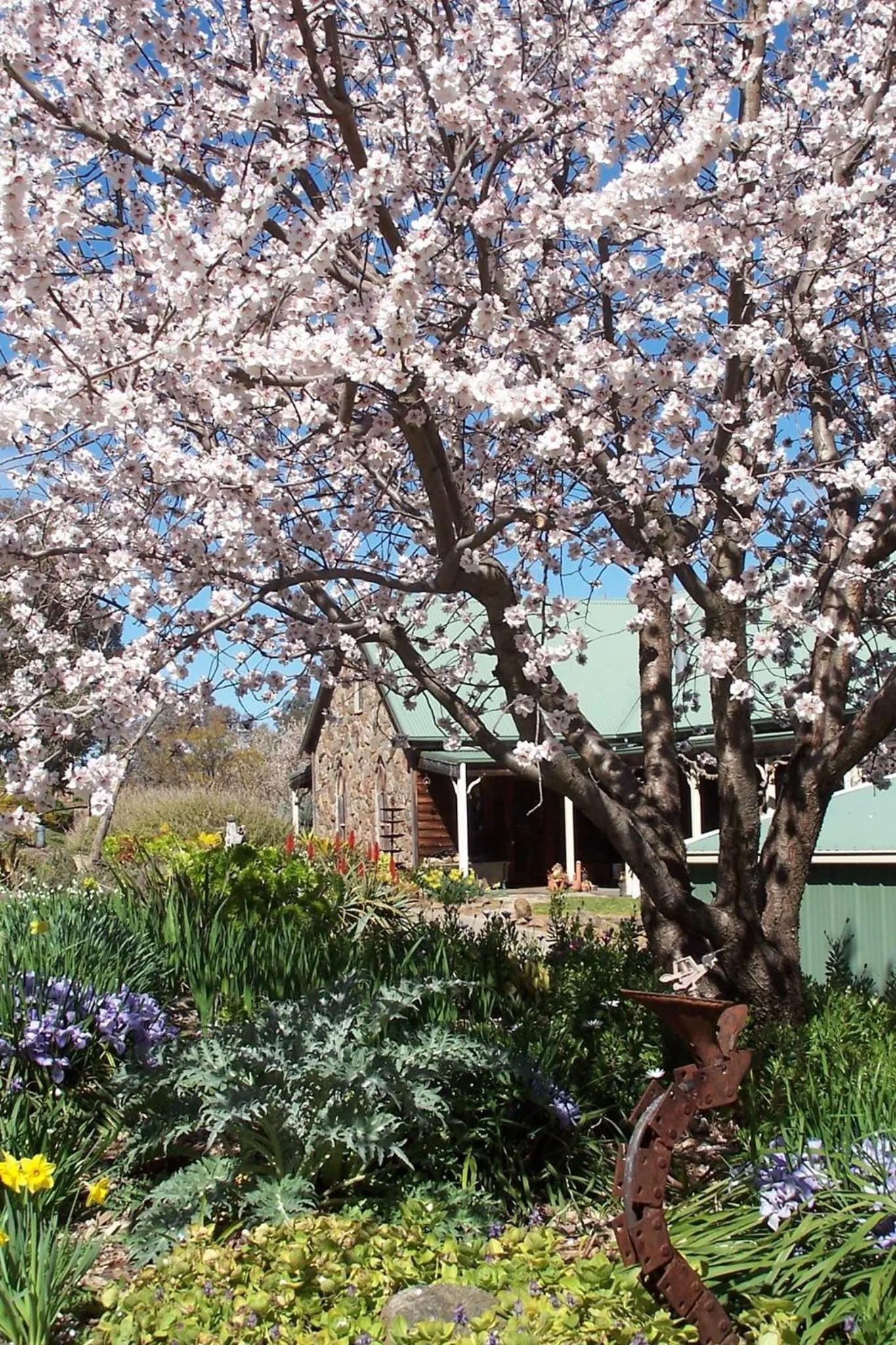 Spring in Inspiring Views B&B