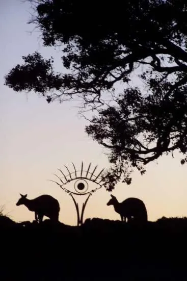 Animals in Inspiring Views B&B