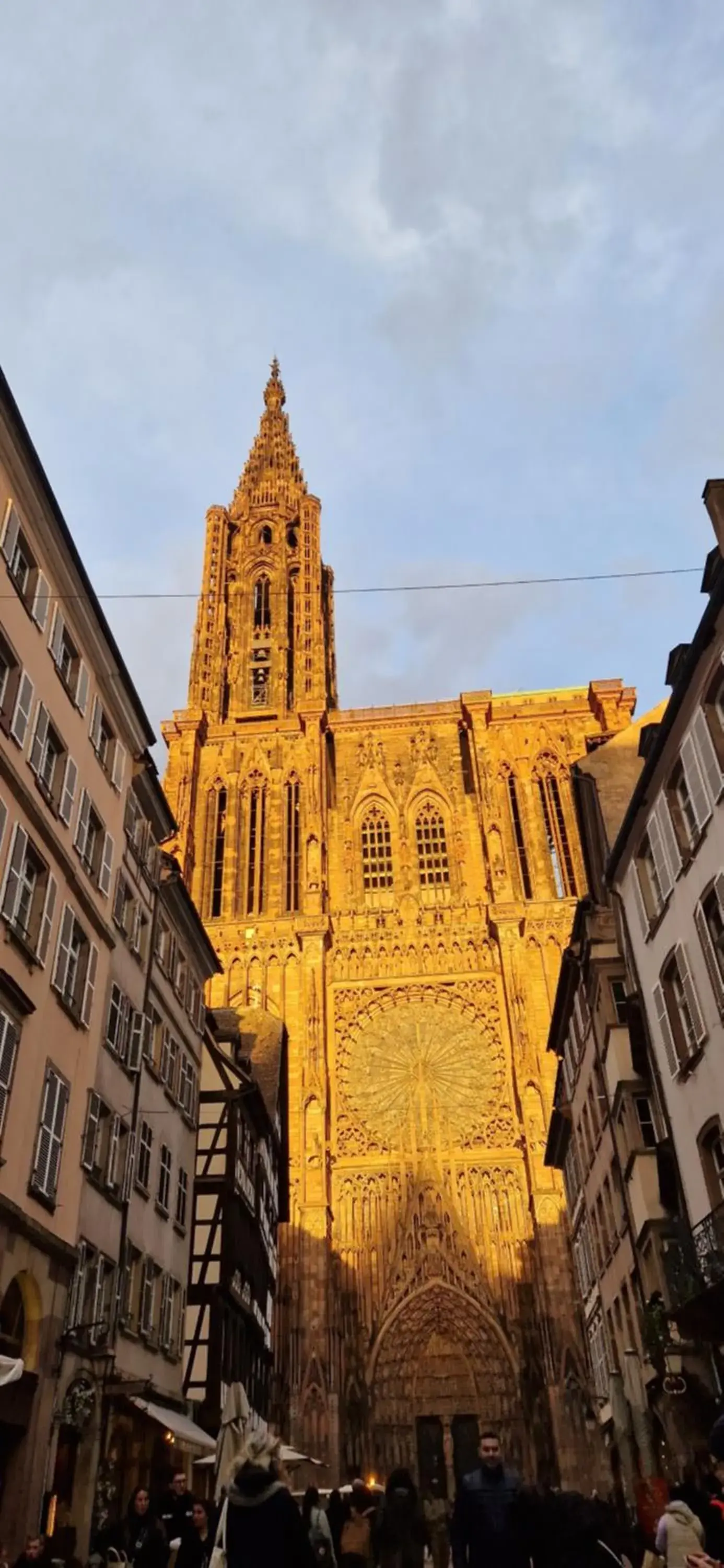 Cathédrale Cathédrale