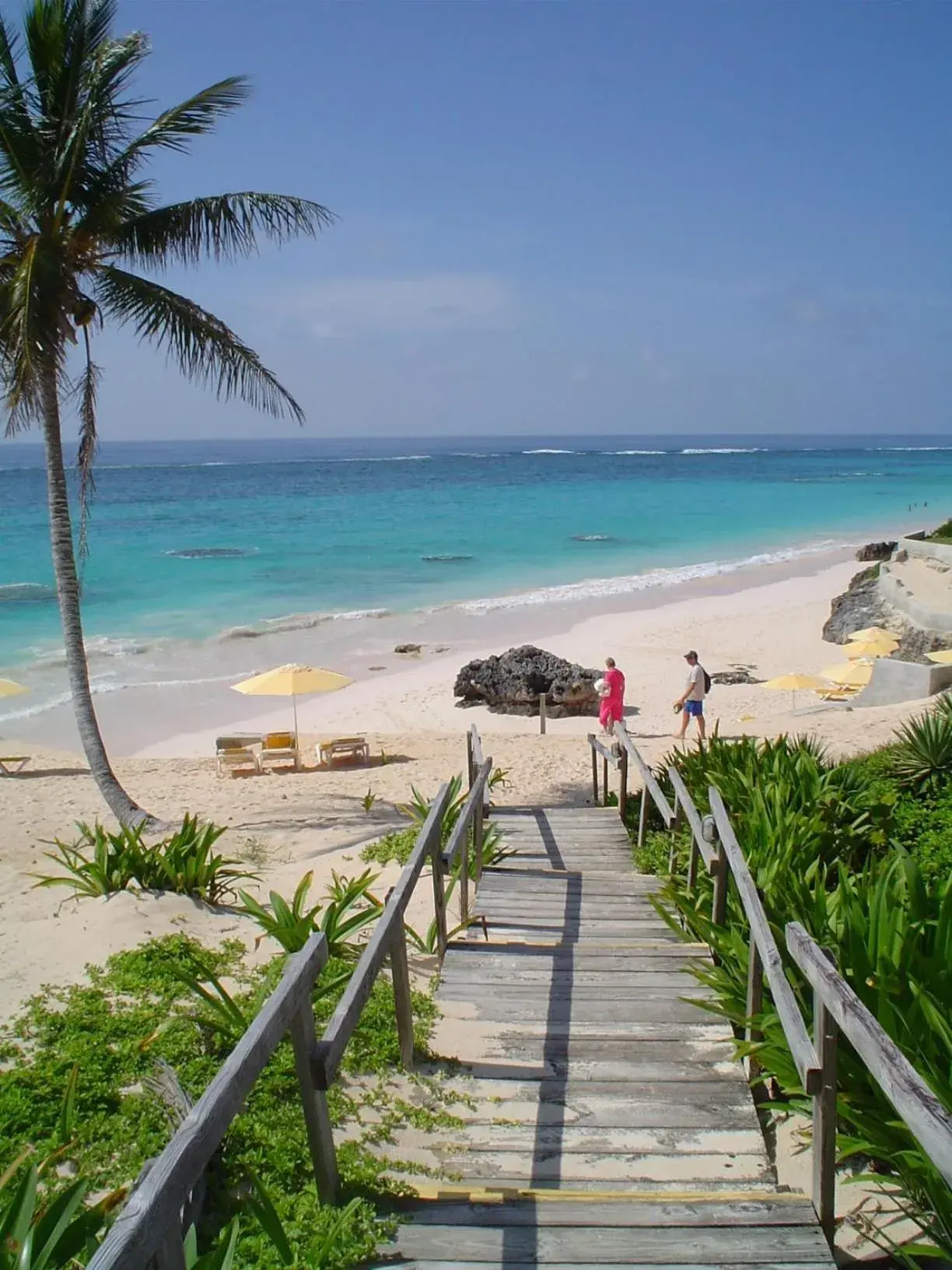 Beach in Coco Reef Bermuda Beach in Coco Reef Bermuda