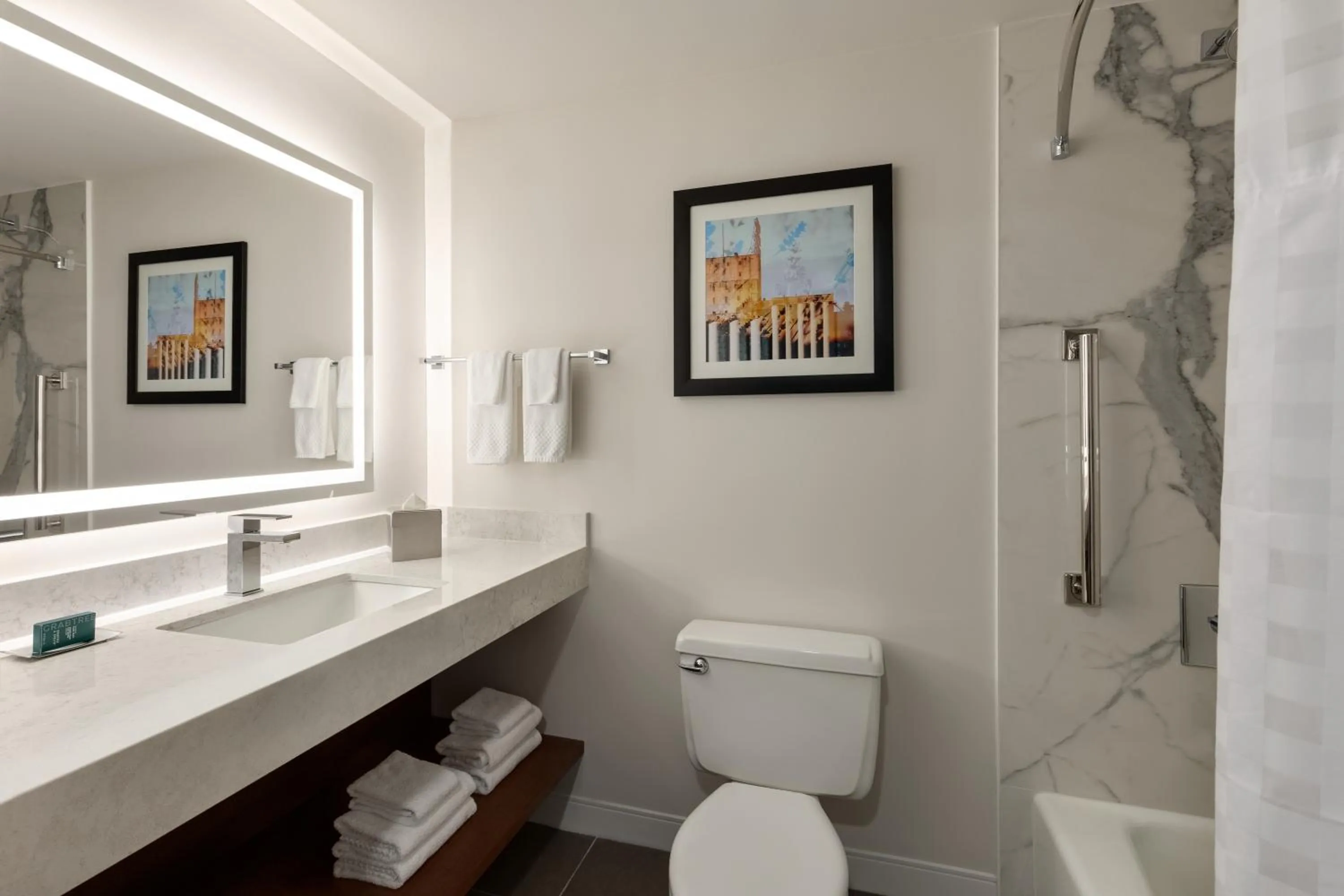 Bathroom in DoubleTree by Hilton Bloomington Minneapolis South