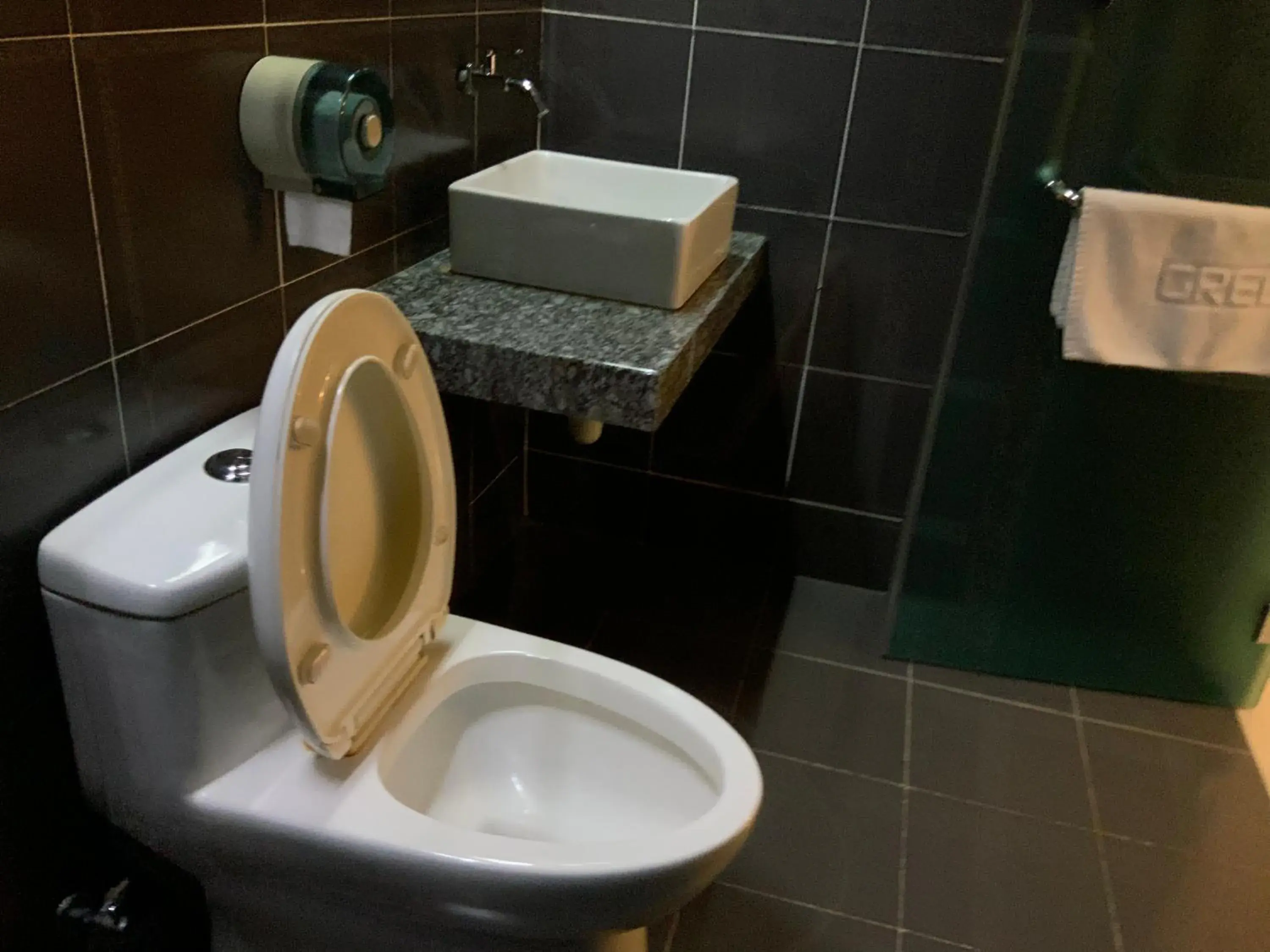 Toilet, Bathroom in Green Hotel
