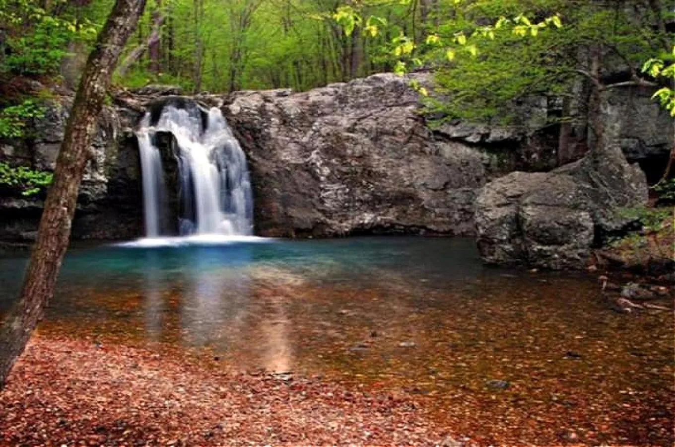 Natural landscape in Secluded Home with Mini Waterfall and a Creek in Hot Springs